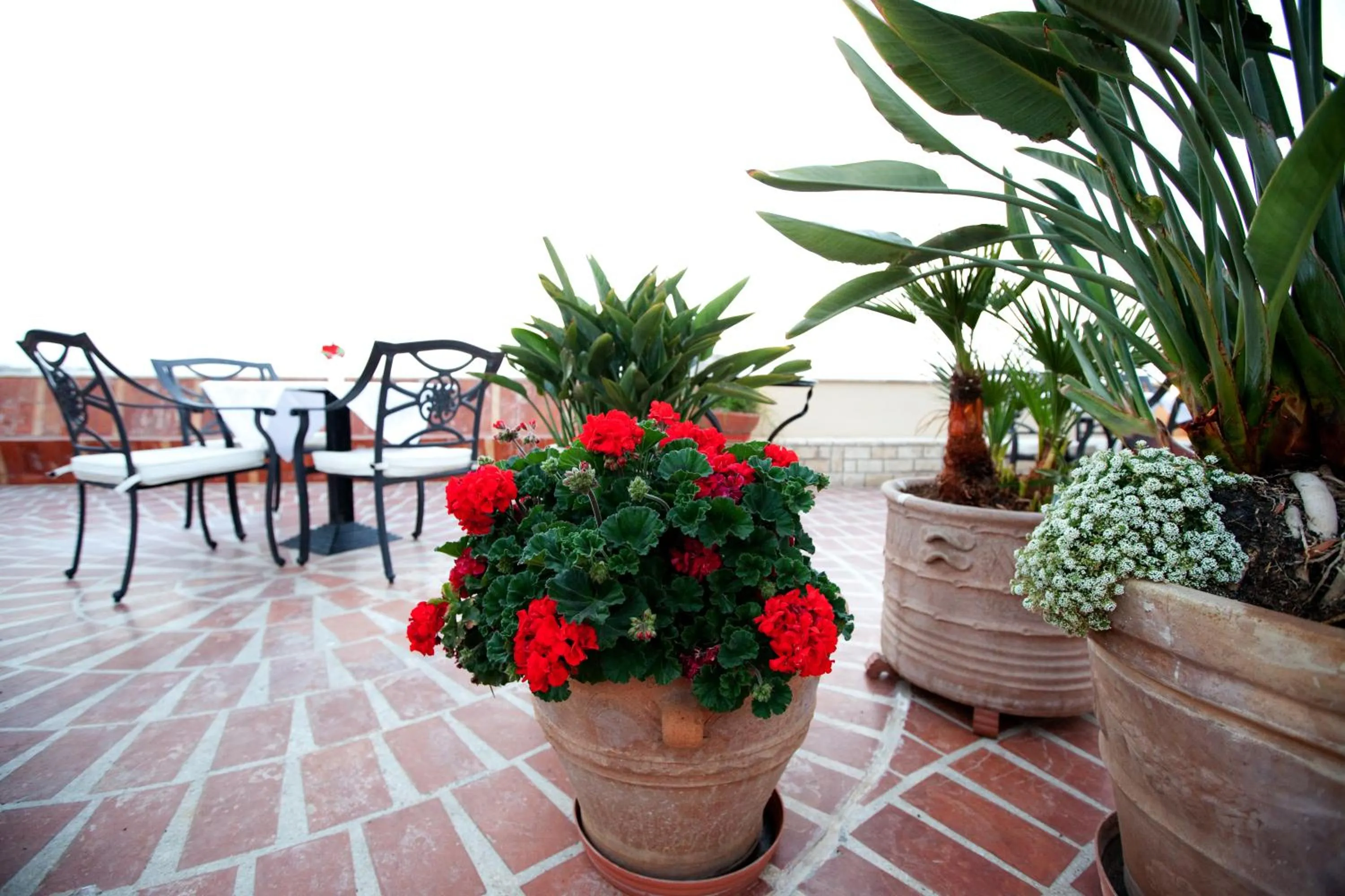 Balcony/Terrace in Suites Pandora