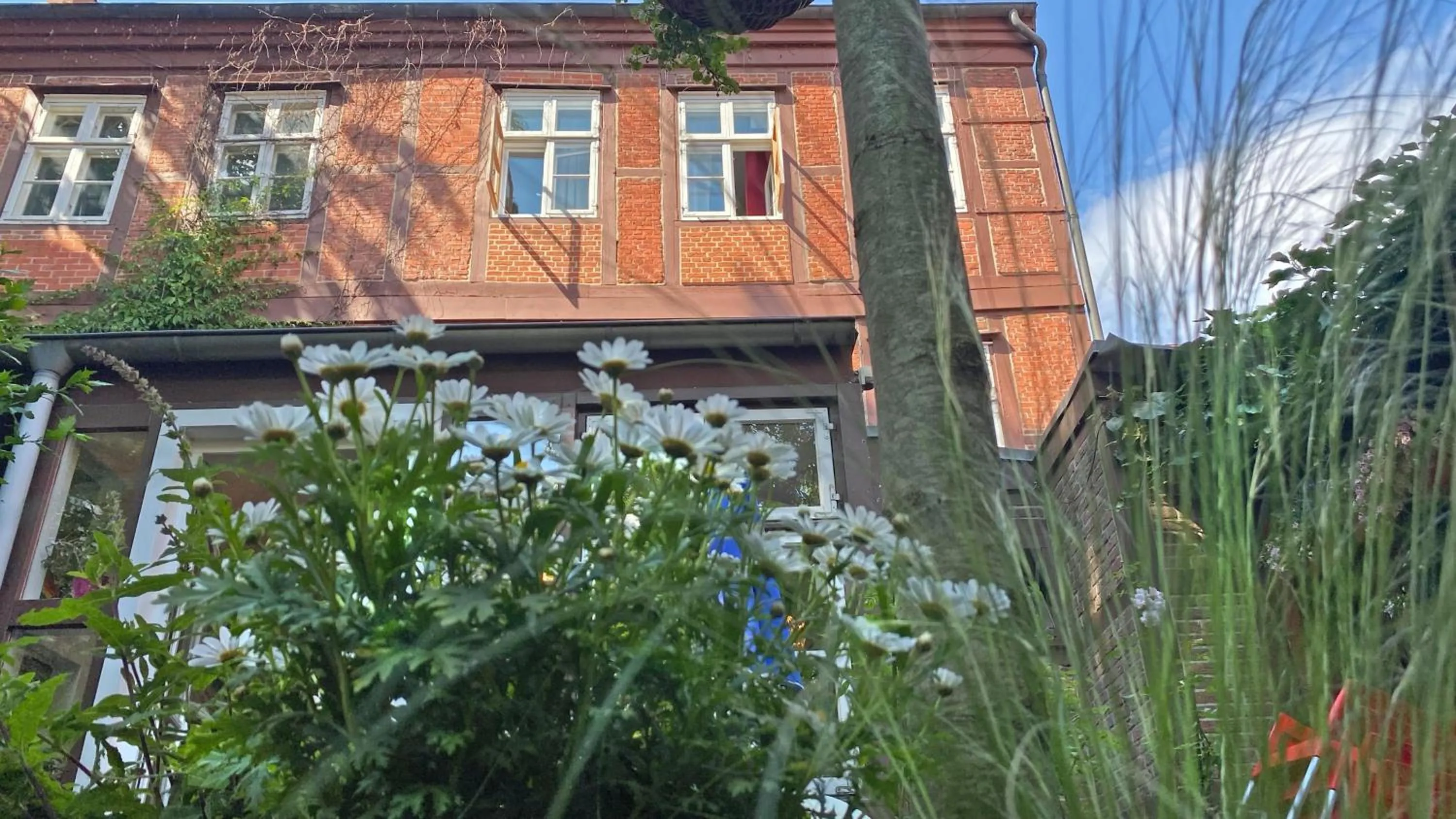 Garden in Frauenhotel Hanseatin - Women Only