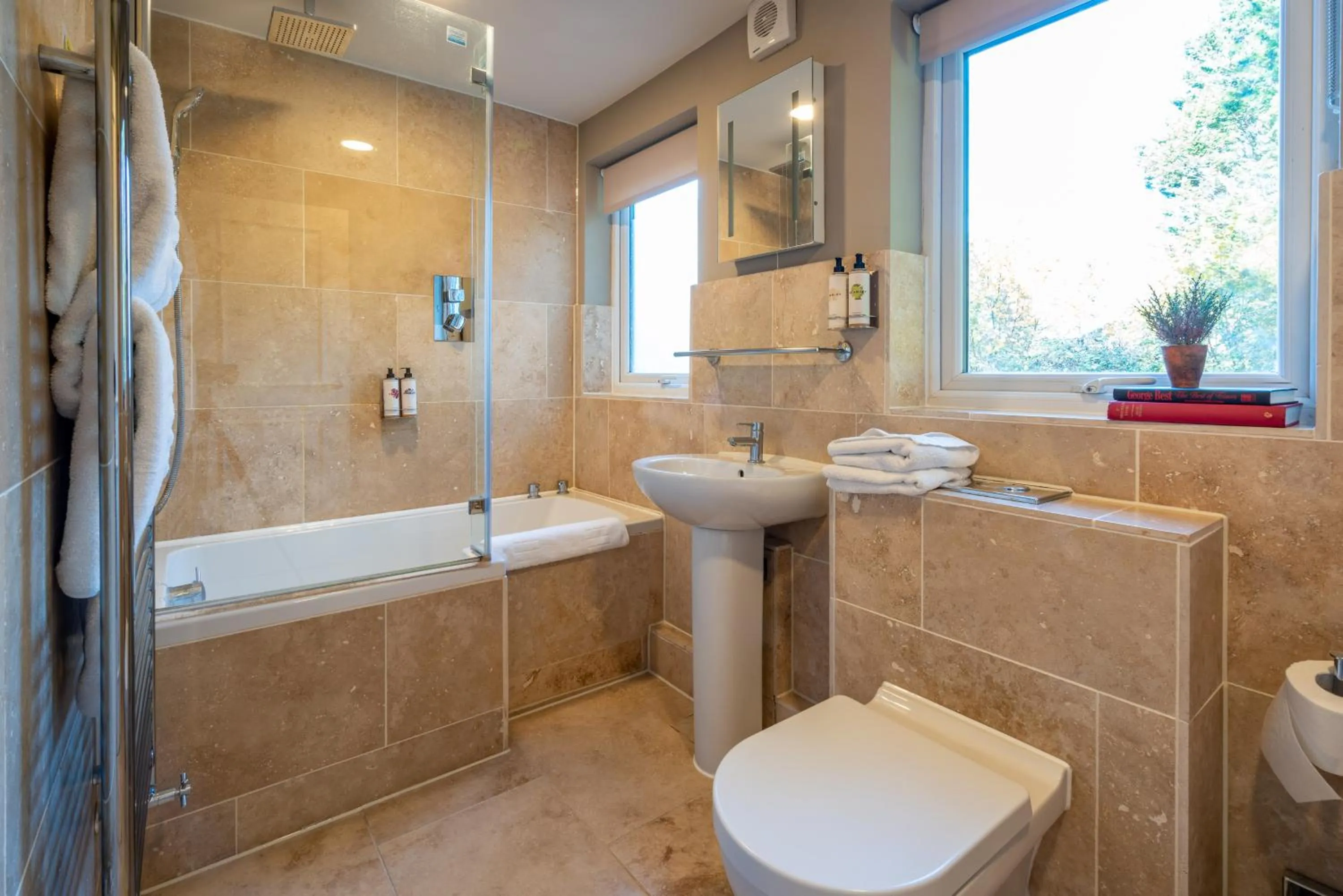 Toilet in The Northey Arms