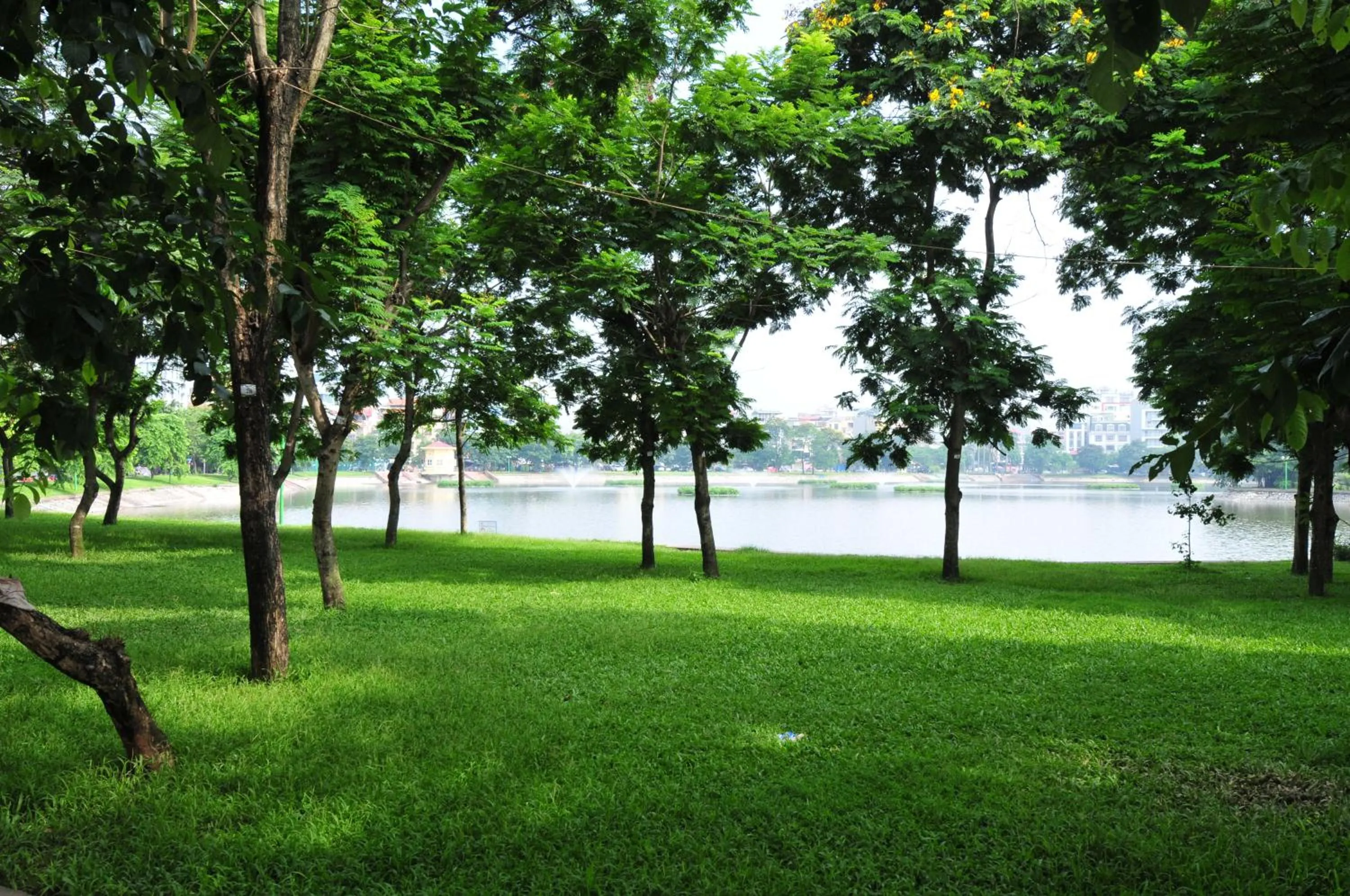 Natural landscape in Chez Tram Homestay