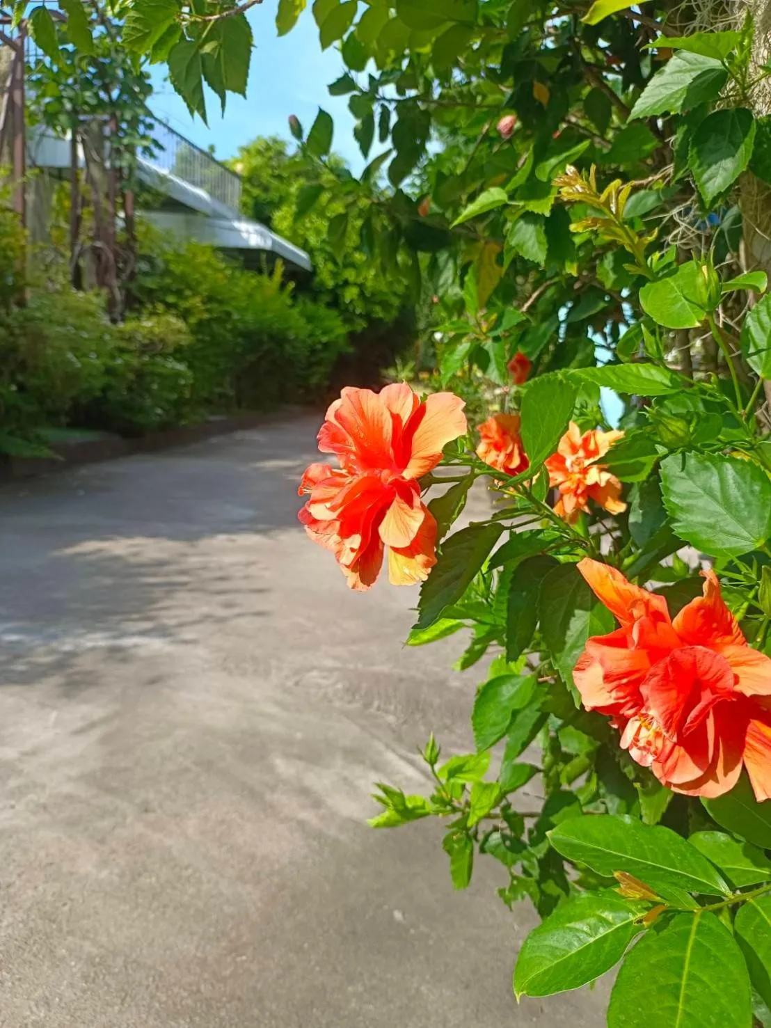 View (from property/room) in Phannarai House