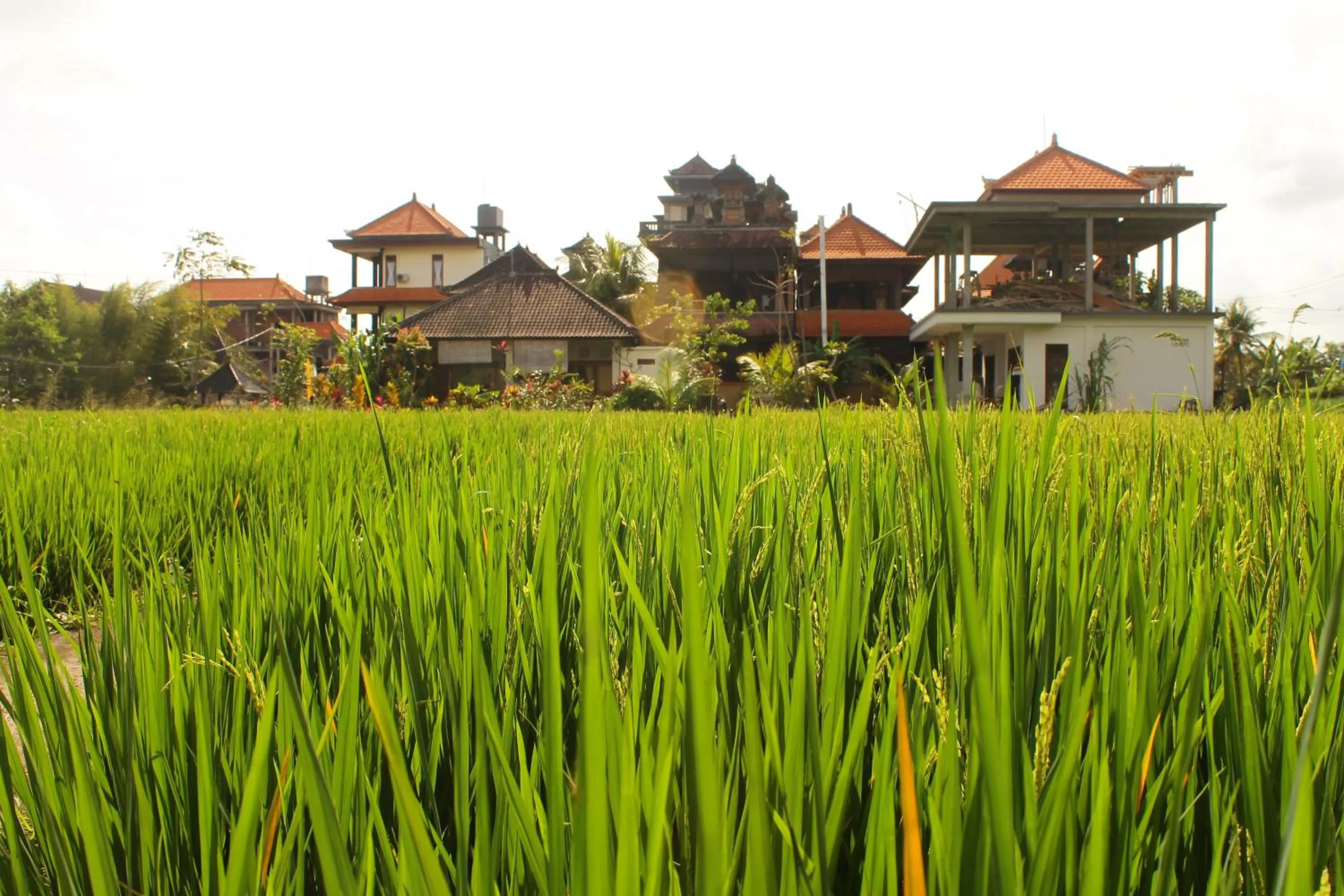 Cenik House Ubud