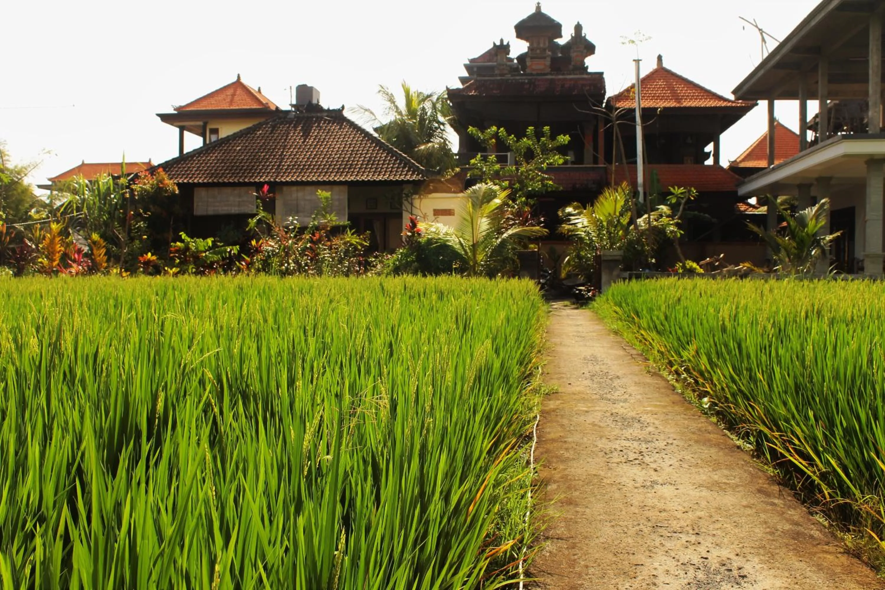 Cenik House Ubud