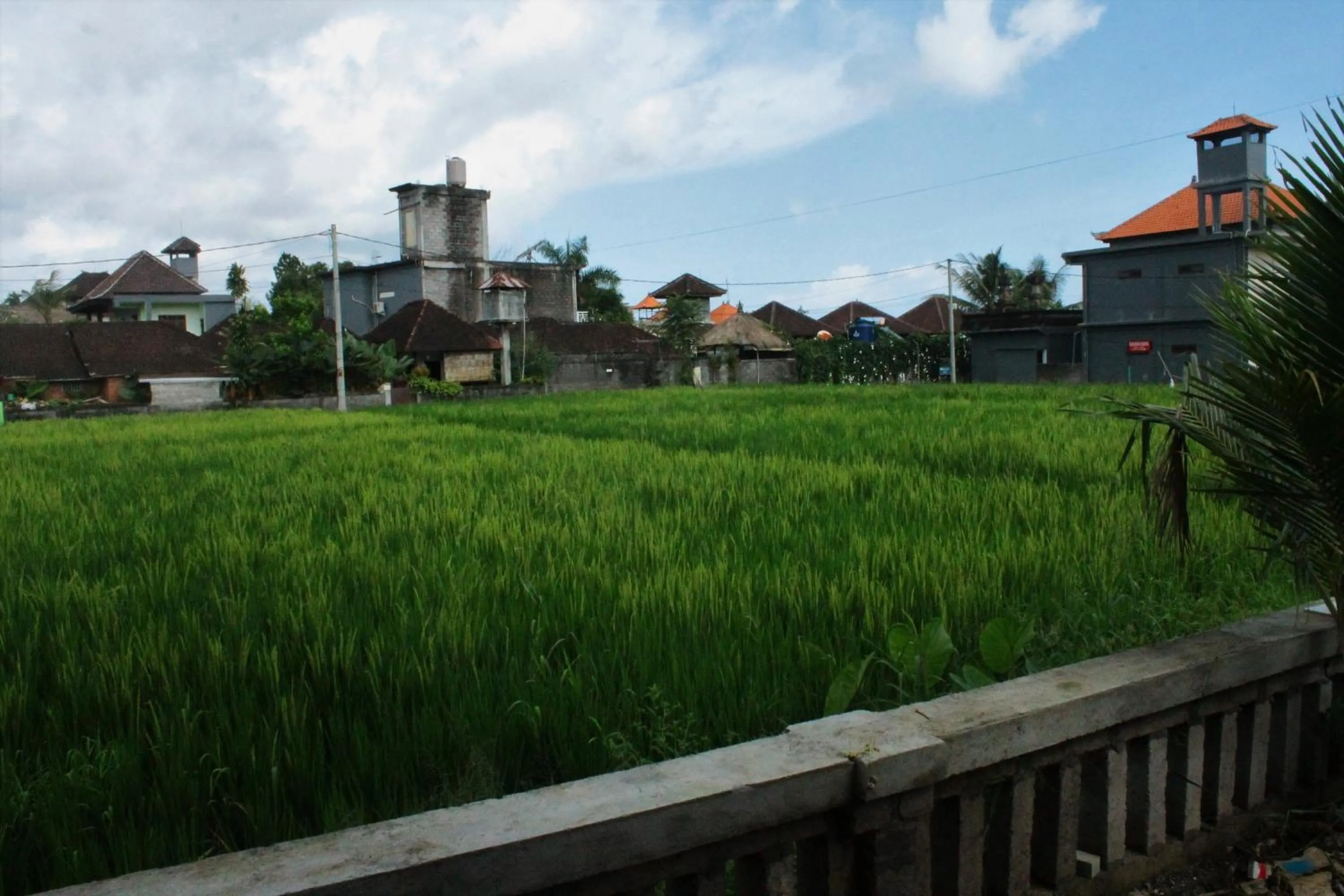 Cenik House Ubud
