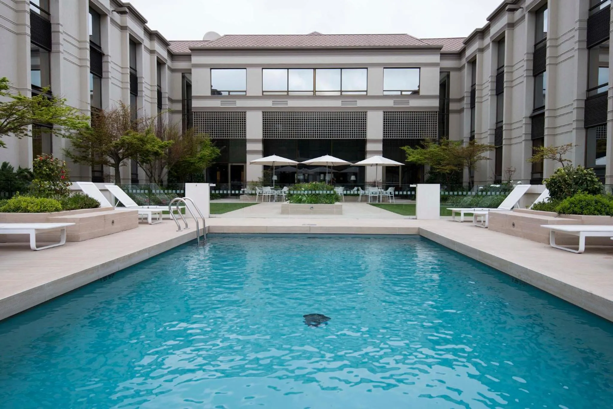 Swimming pool in Holiday Inn Express - Concepcion by IHG