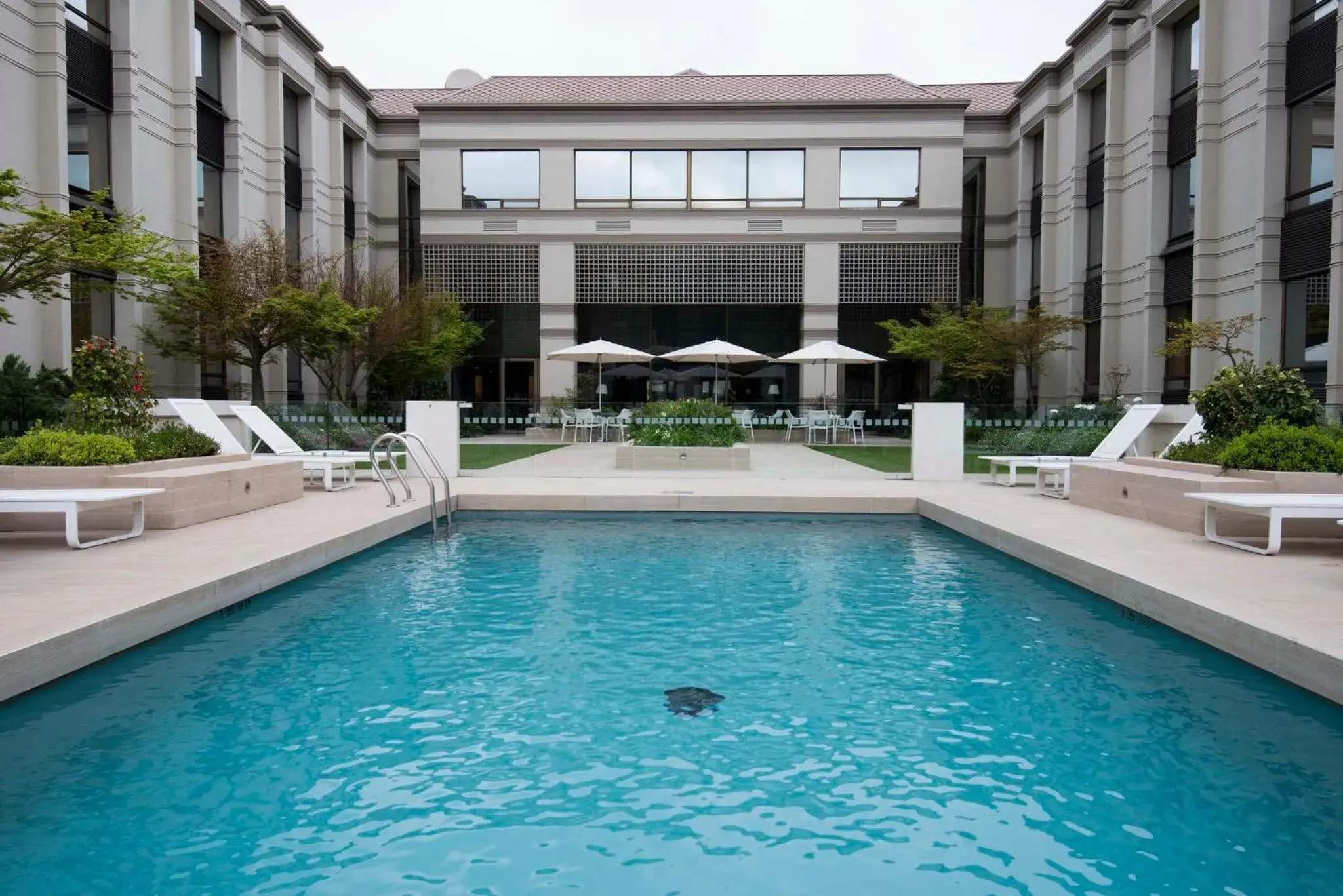 Swimming pool in Holiday Inn Express - Concepcion by IHG Swimming pool in Holiday Inn Express - Concepcion by IHG