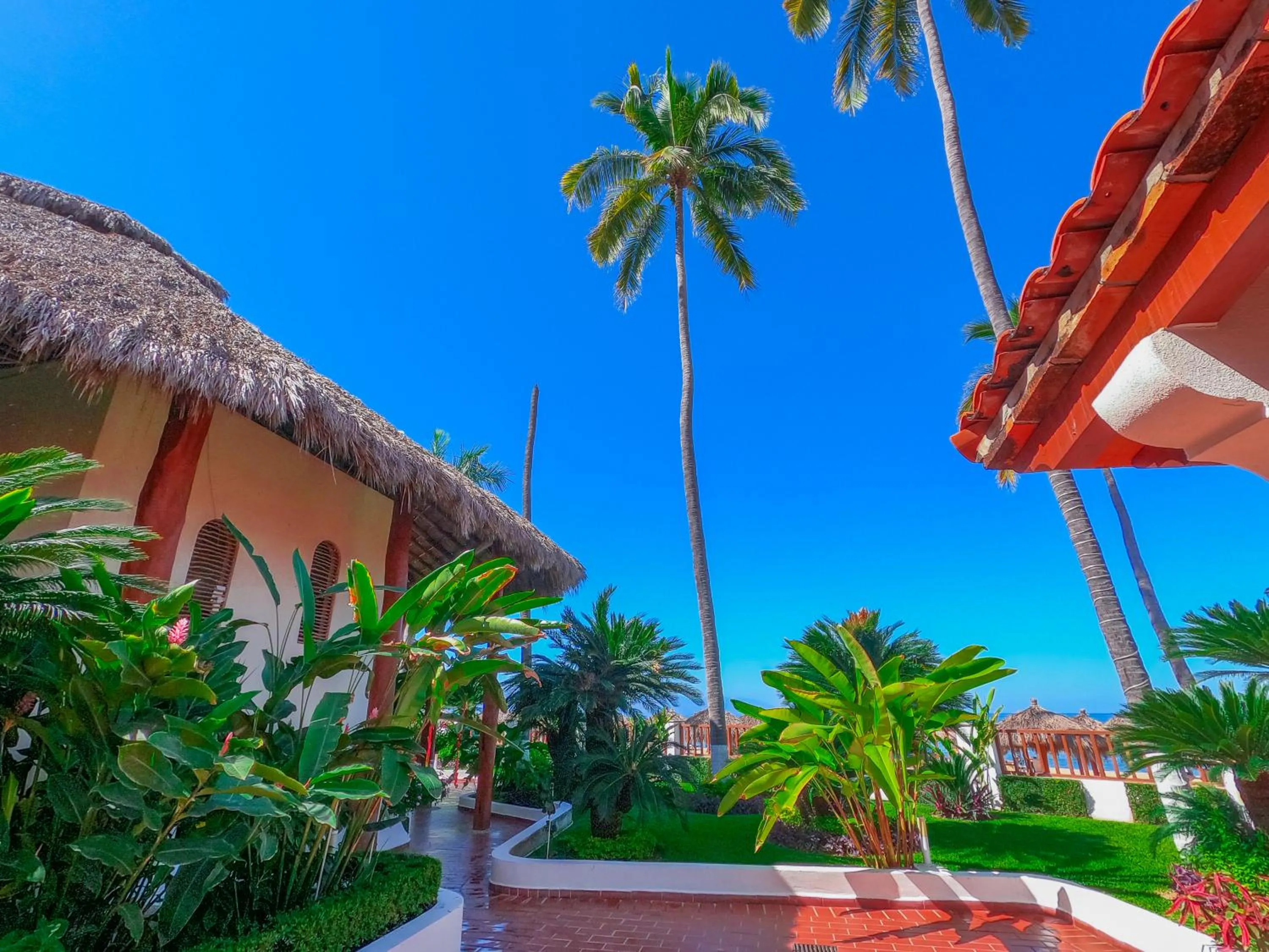 Garden in Tropicana Hotel Puerto Vallarta