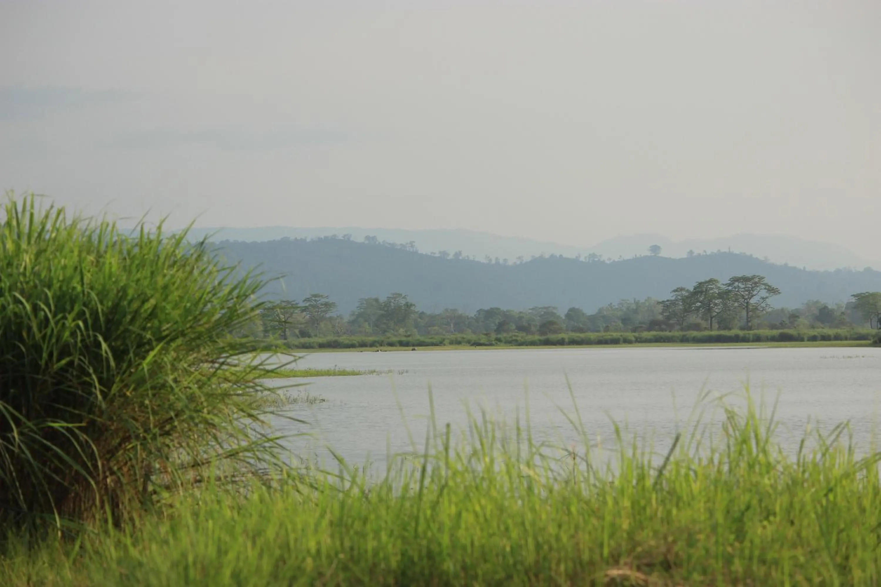Nature Hunt Eco Camp