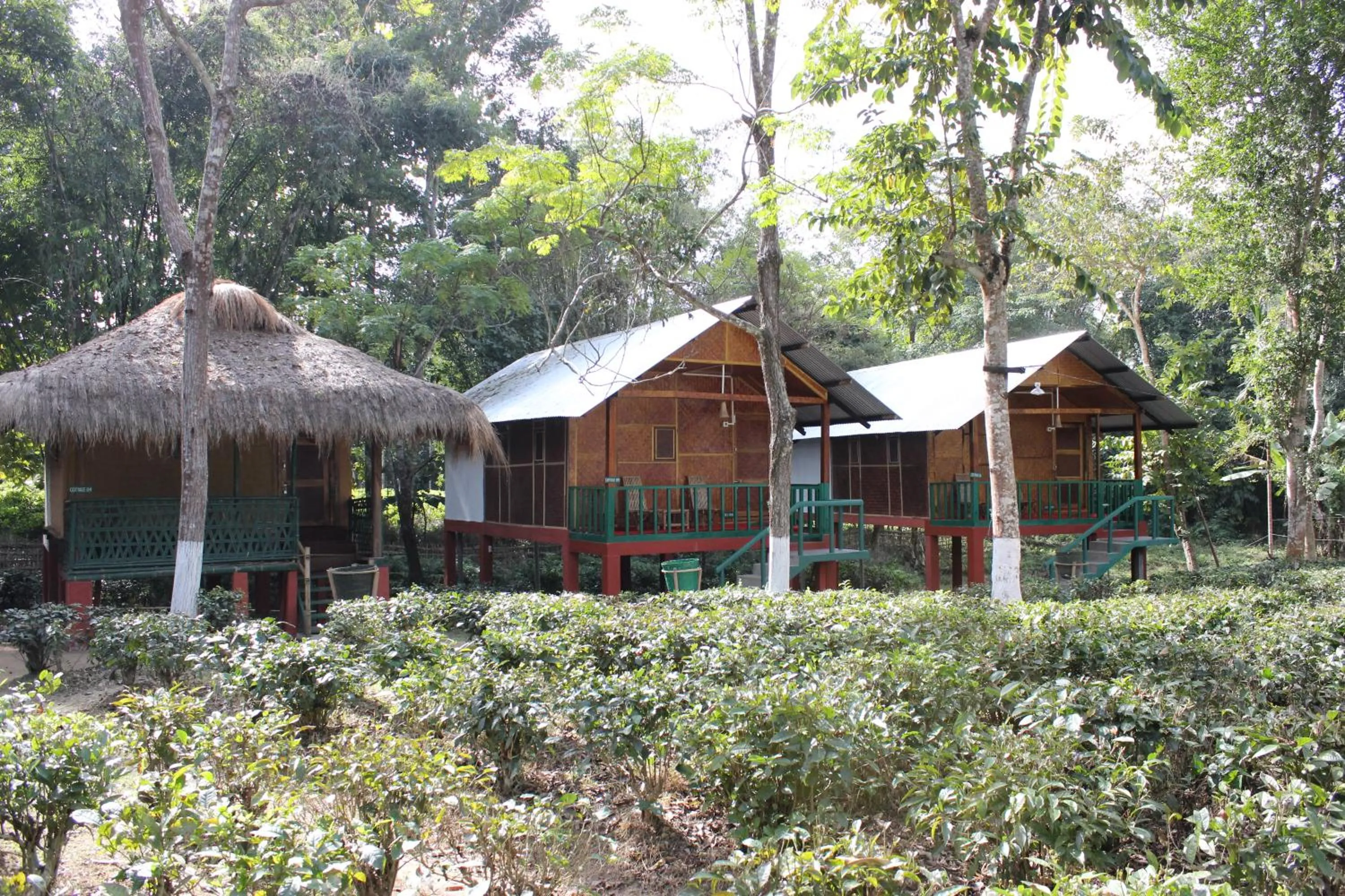 Nature Hunt Eco Camp