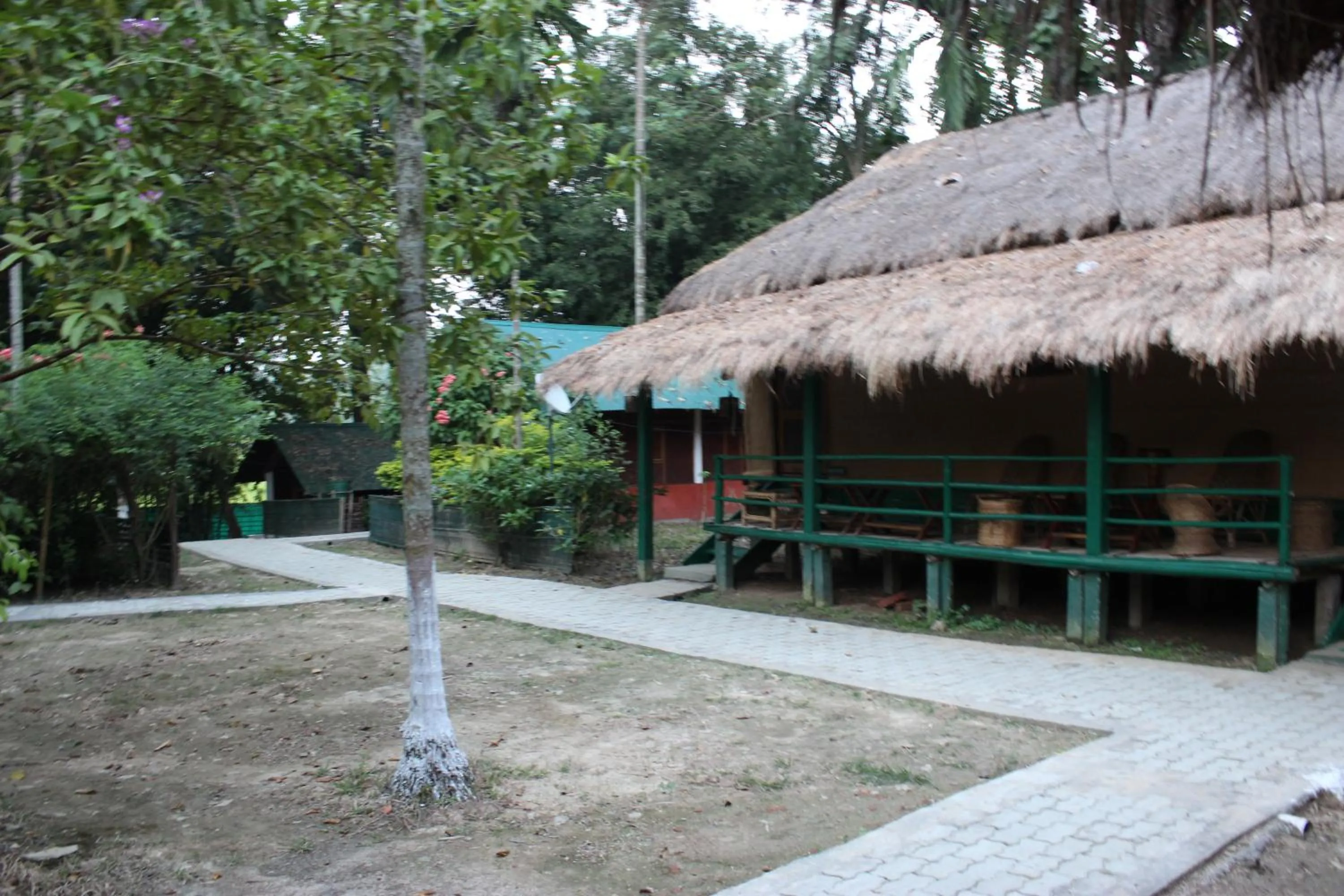 Nature Hunt Eco Camp