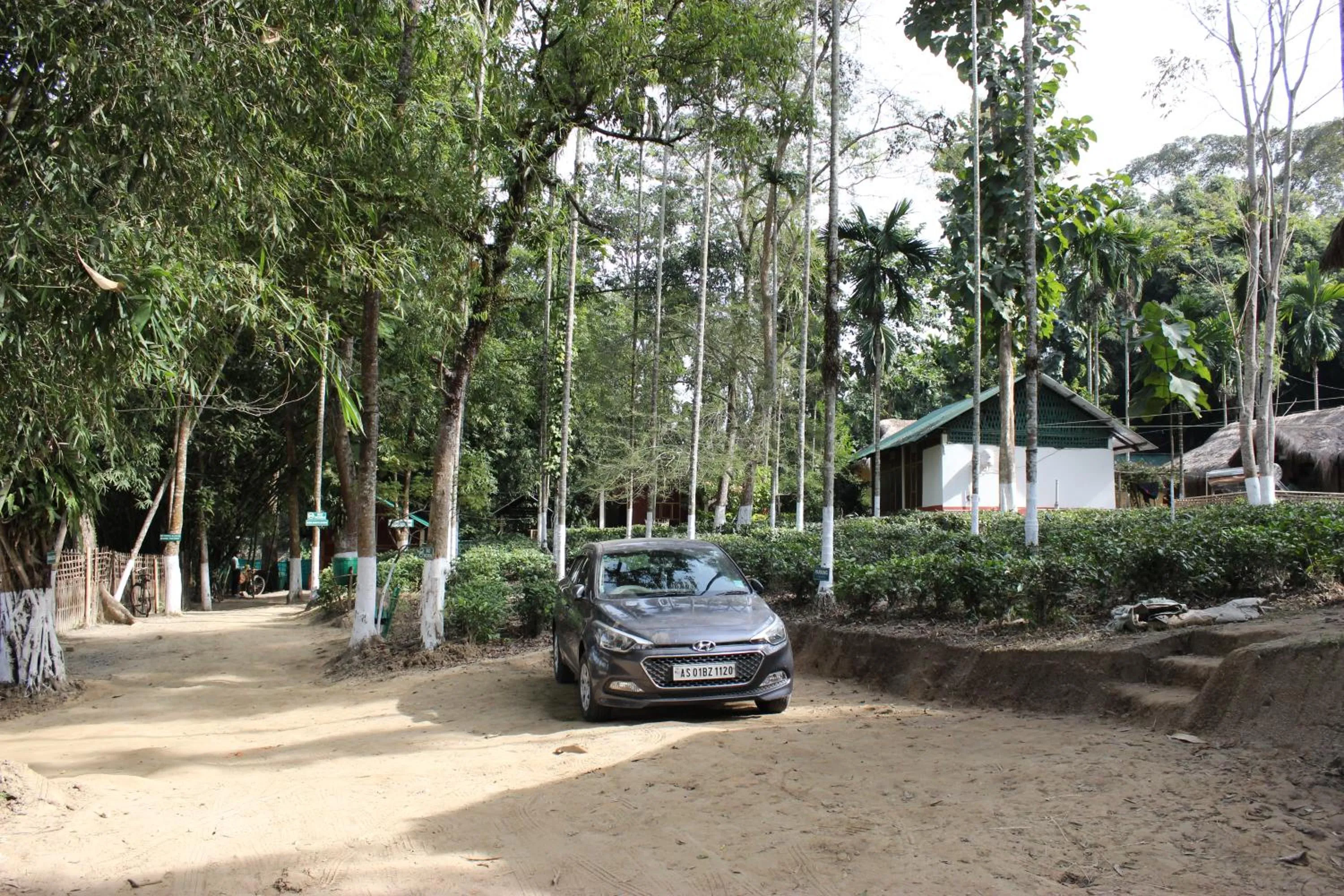 Nature Hunt Eco Camp