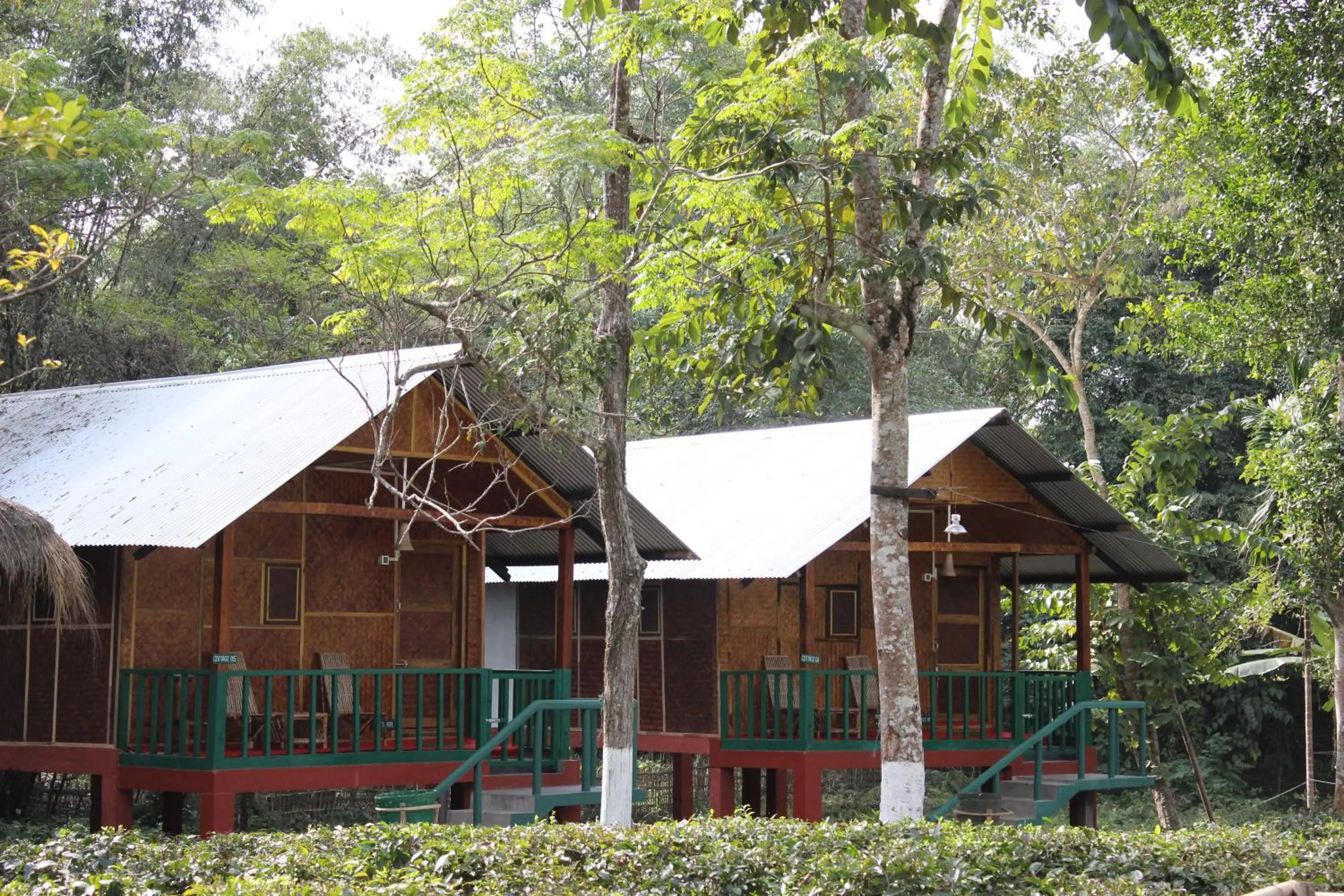 Nature Hunt Eco Camp