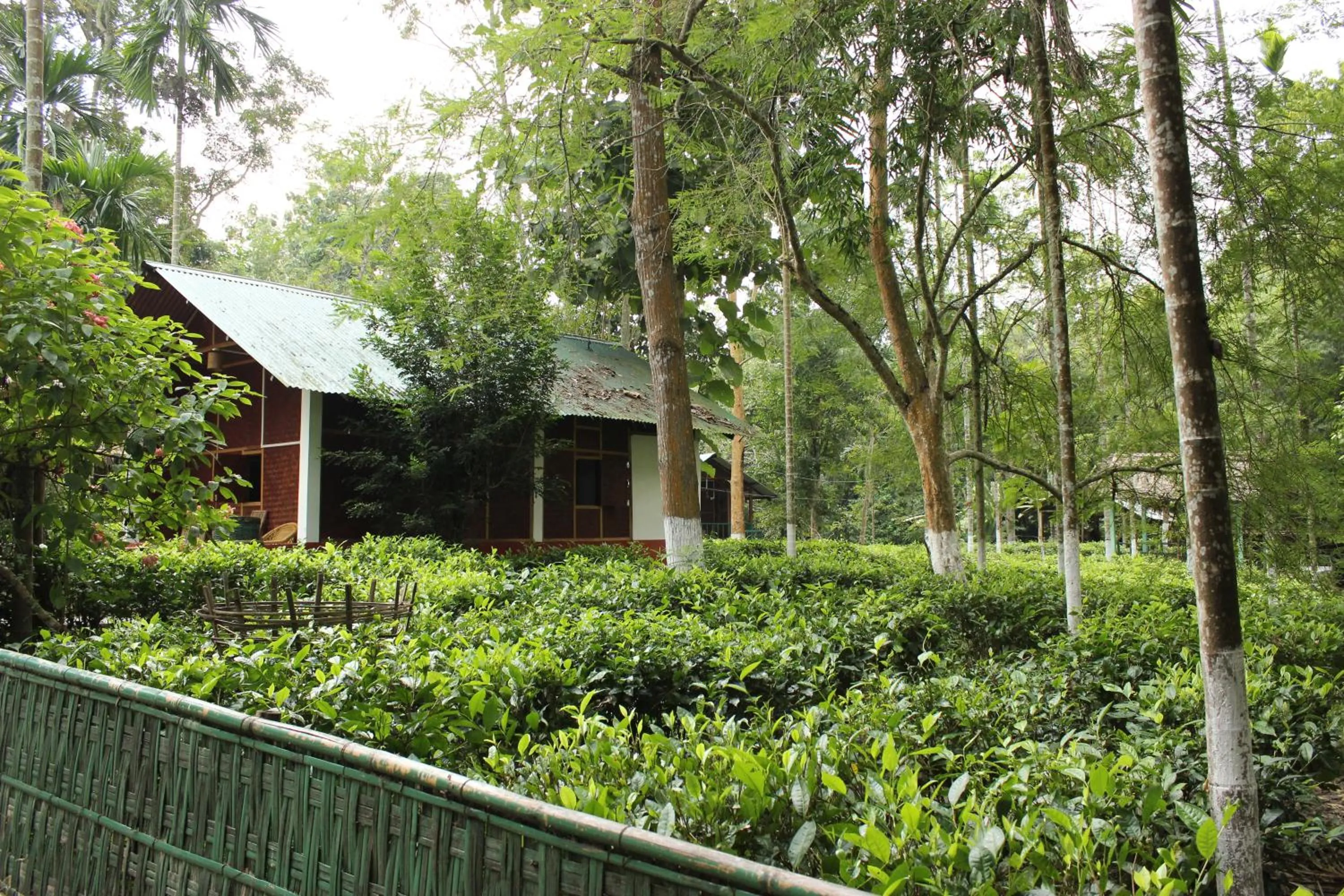 Nature Hunt Eco Camp