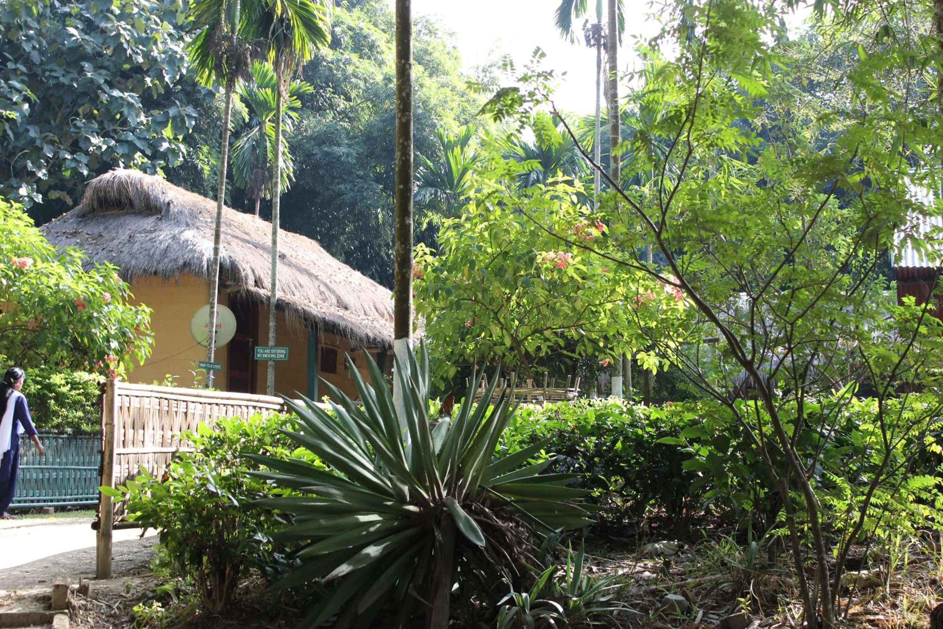 Area and facilities in Nature Hunt Eco Camp