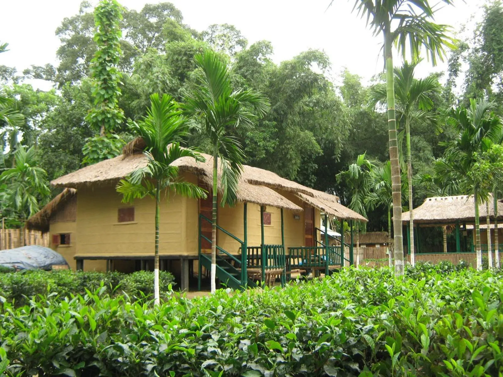 Garden view in Nature Hunt Eco Camp