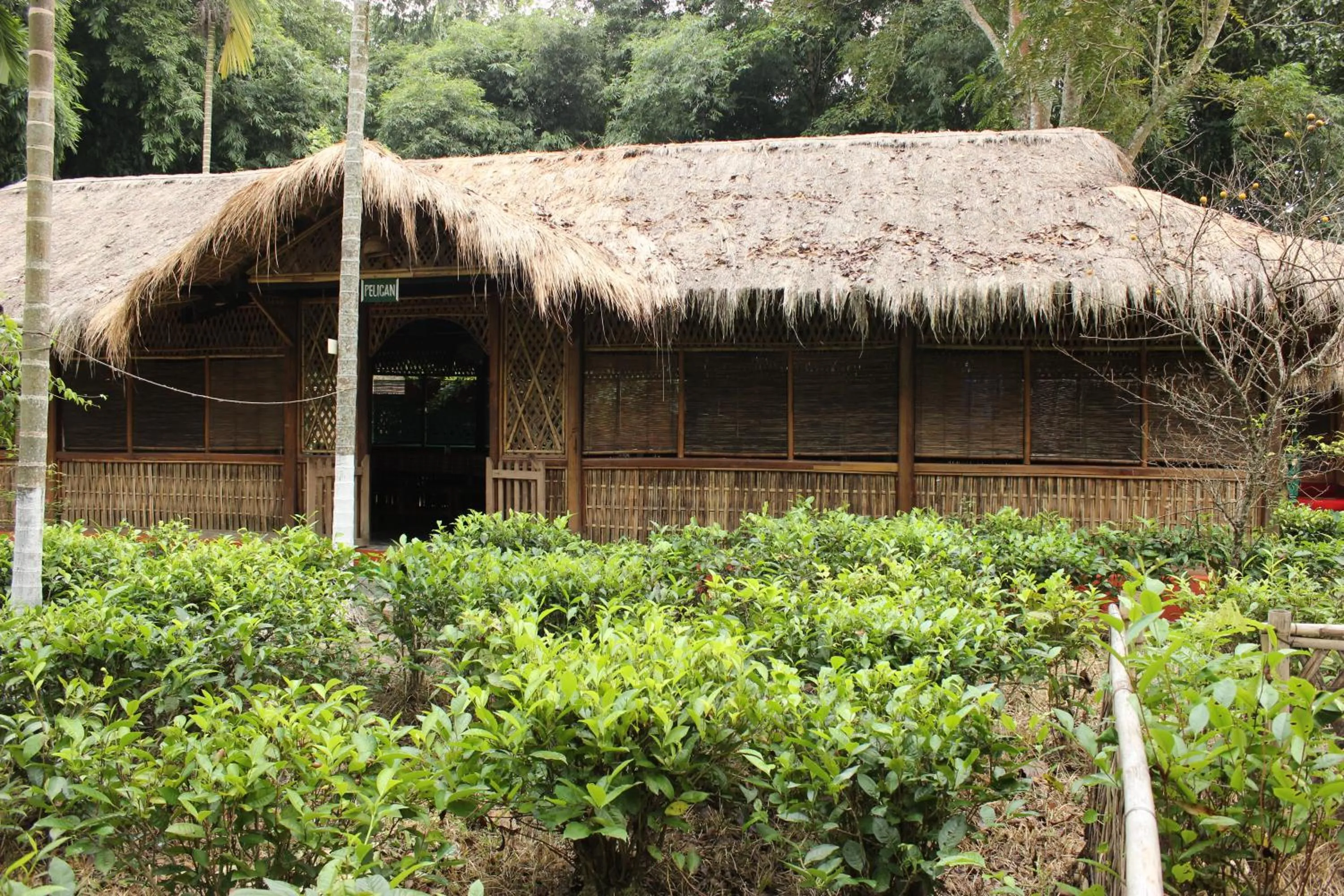 Nature Hunt Eco Camp