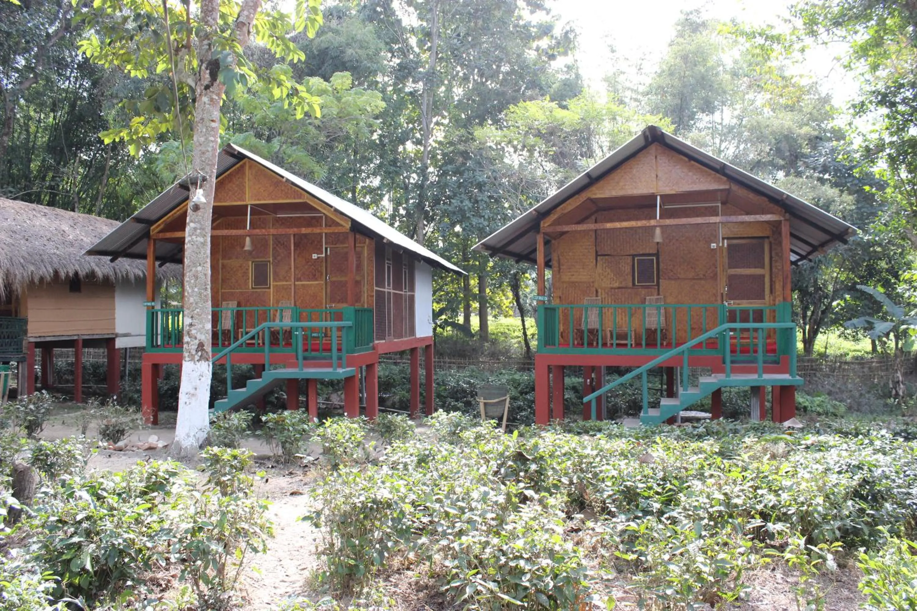 Nature Hunt Eco Camp