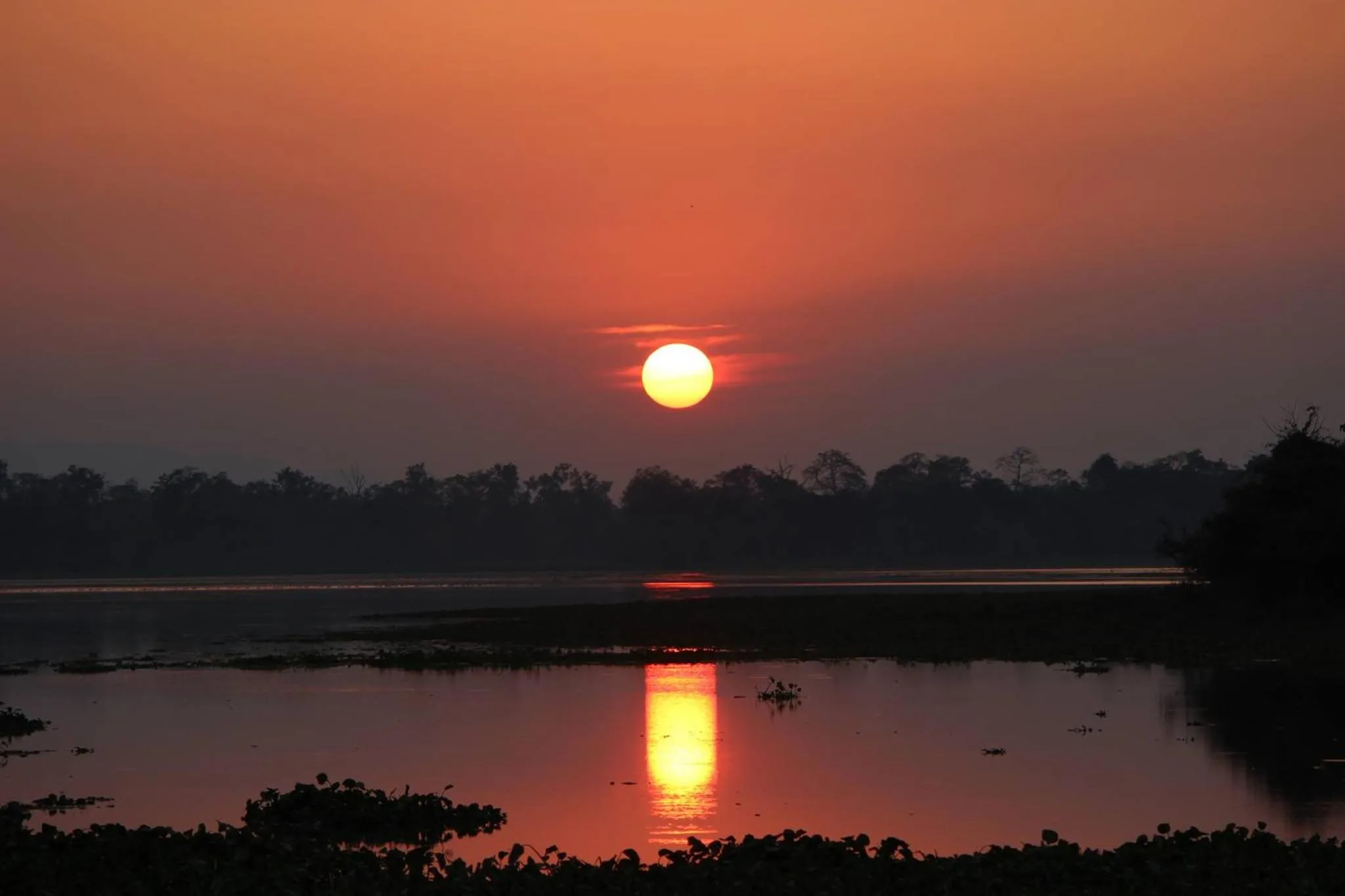 Nature Hunt Eco Camp
