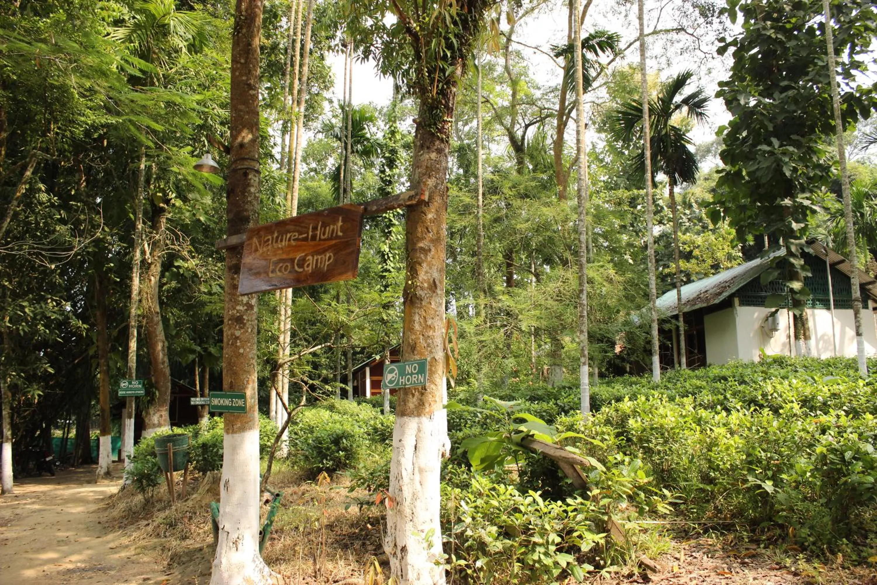 Nature Hunt Eco Camp