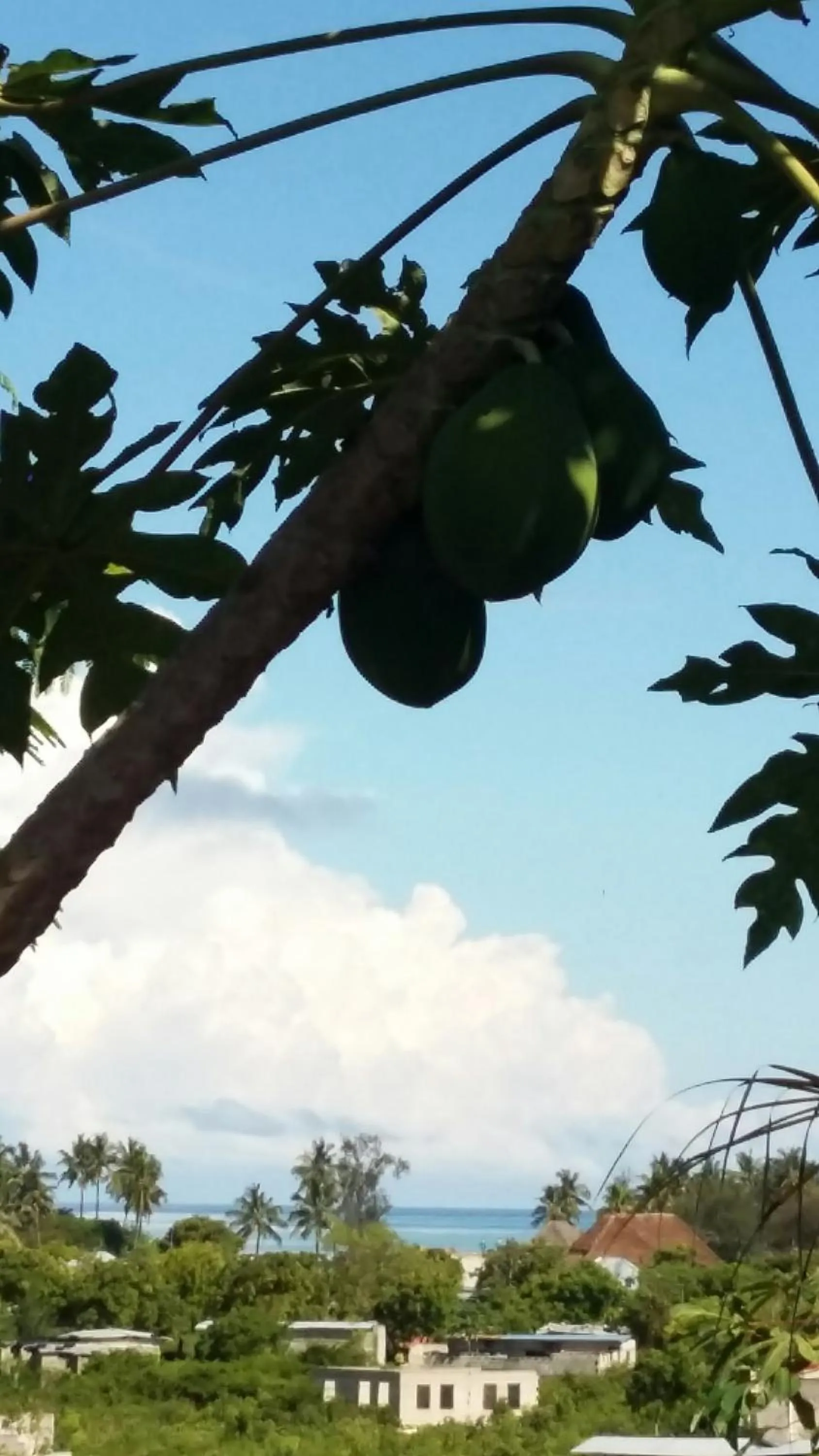 Sea view in Kilimani House