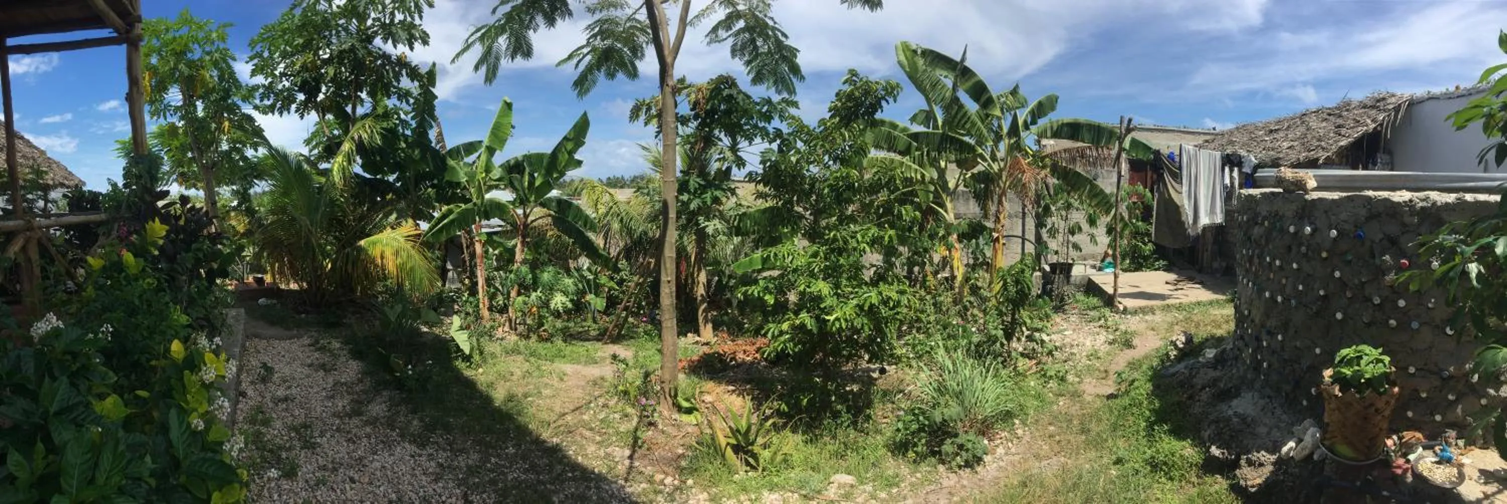 Garden in Kilimani House