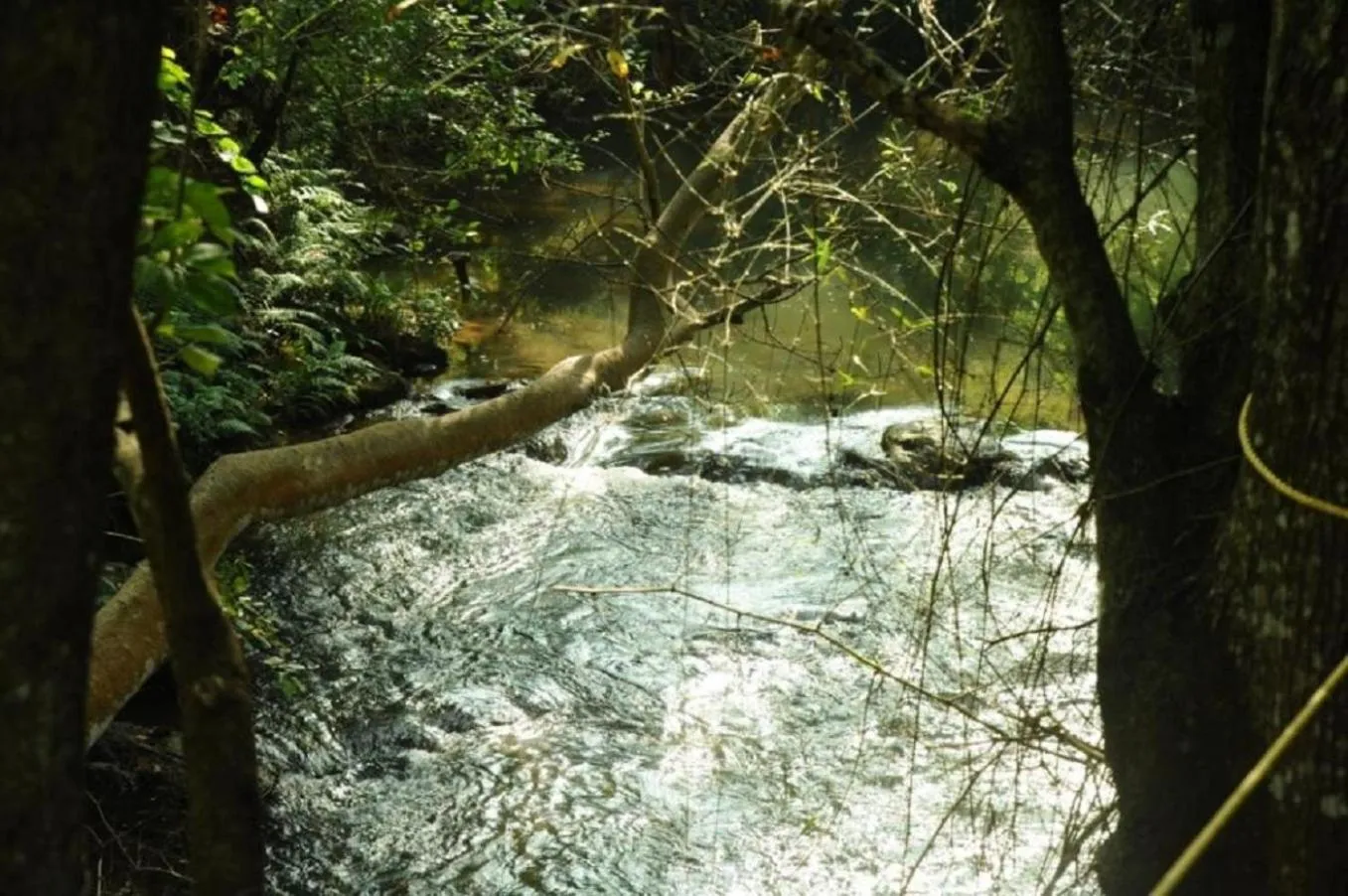 Natural landscape in River Valley Resort