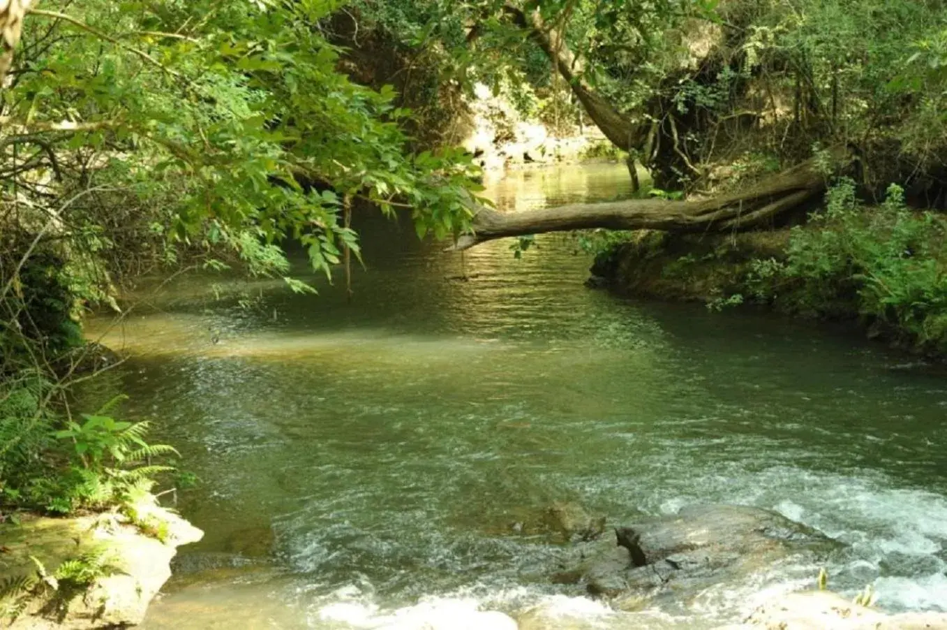 Double Room with Lake View in River Valley Resort Double Room with Lake View in River Valley Resort