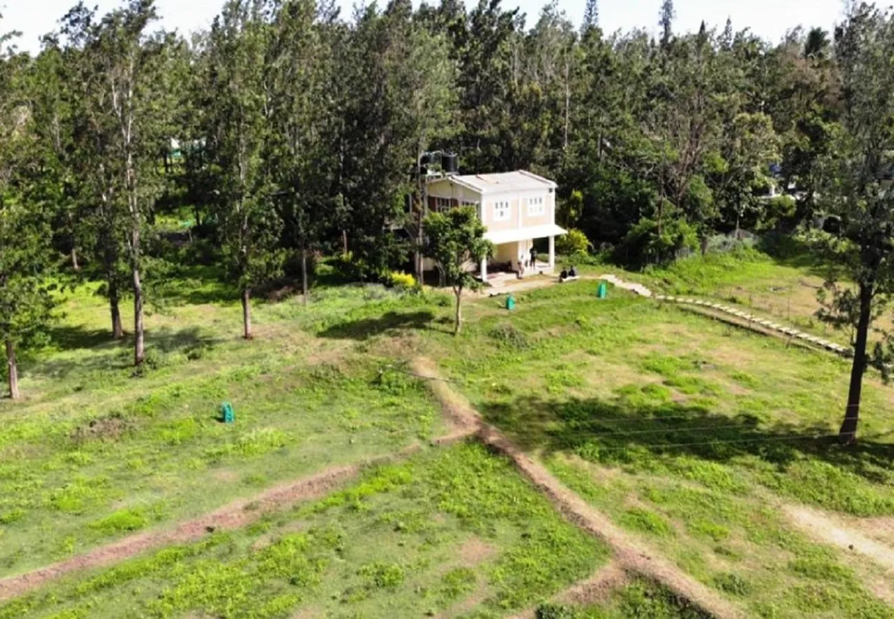 View (from property/room) in River Valley Resort