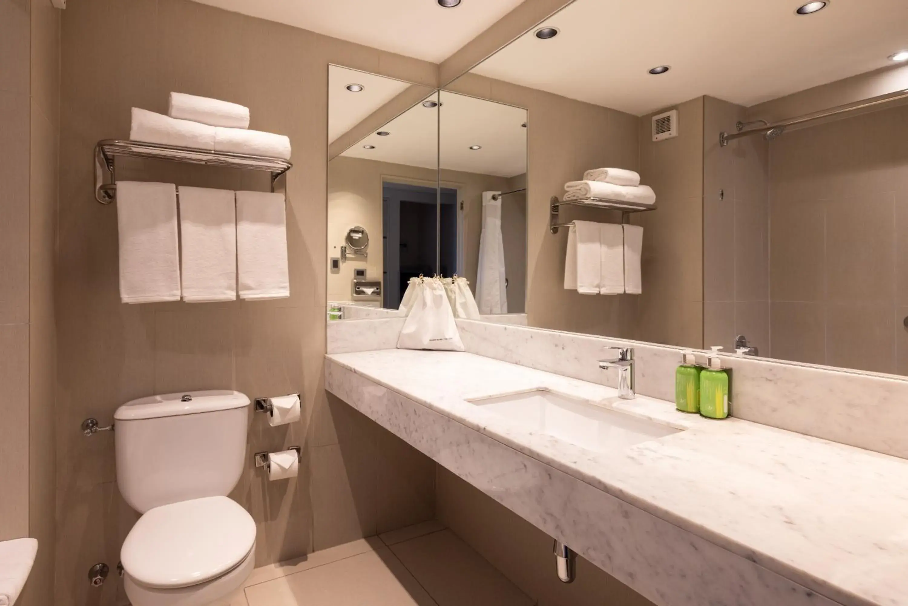 Standard Room in Holiday Inn Express - Temuco by IHG Standard Room in Holiday Inn Express - Temuco by IHG