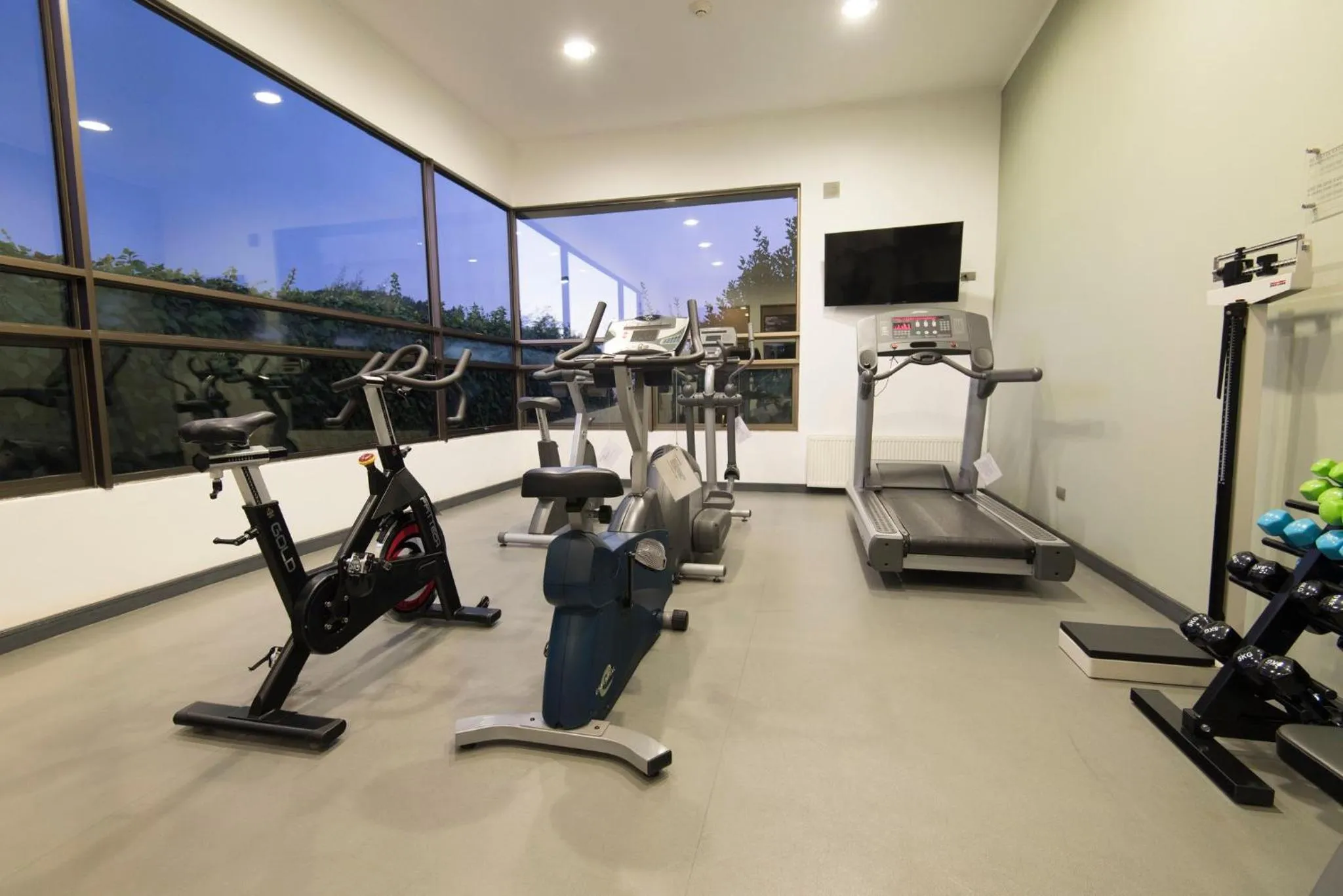 Fitness centre/facilities in Holiday Inn Express - Temuco by IHG
