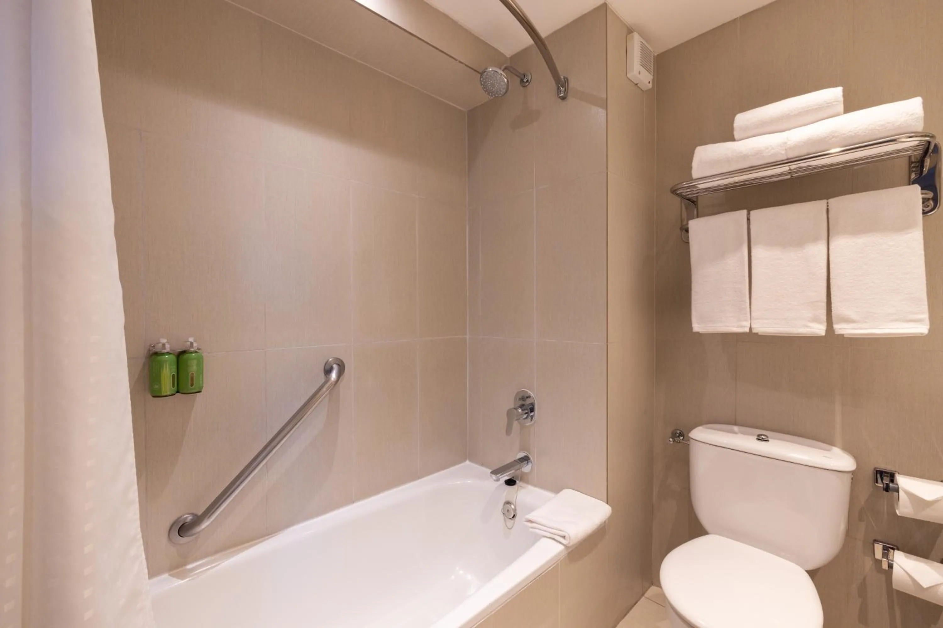 Holiday Inn Express - Temuco by IHG