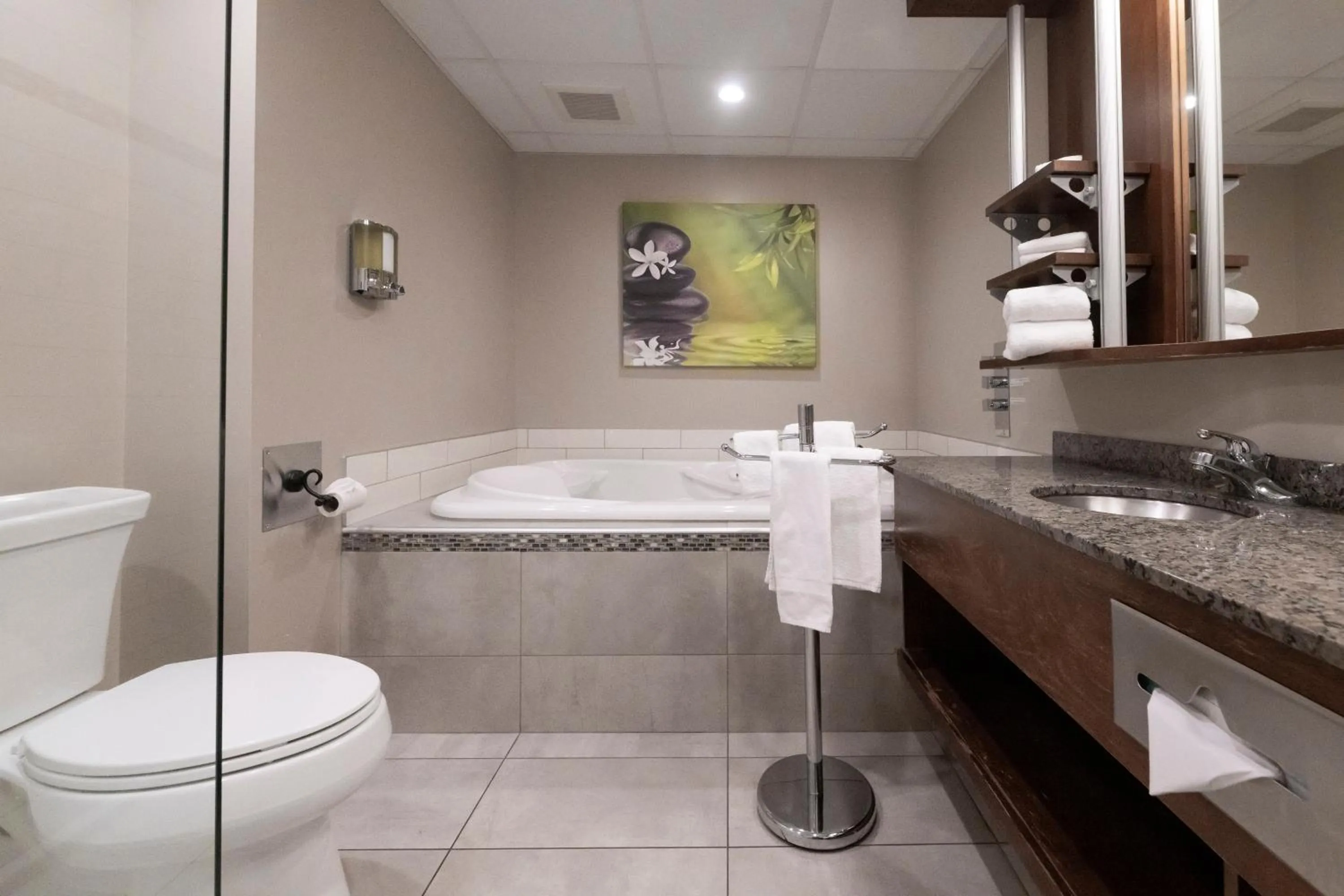 Bathroom in Hôtel & Suites Le Dauphin Québec