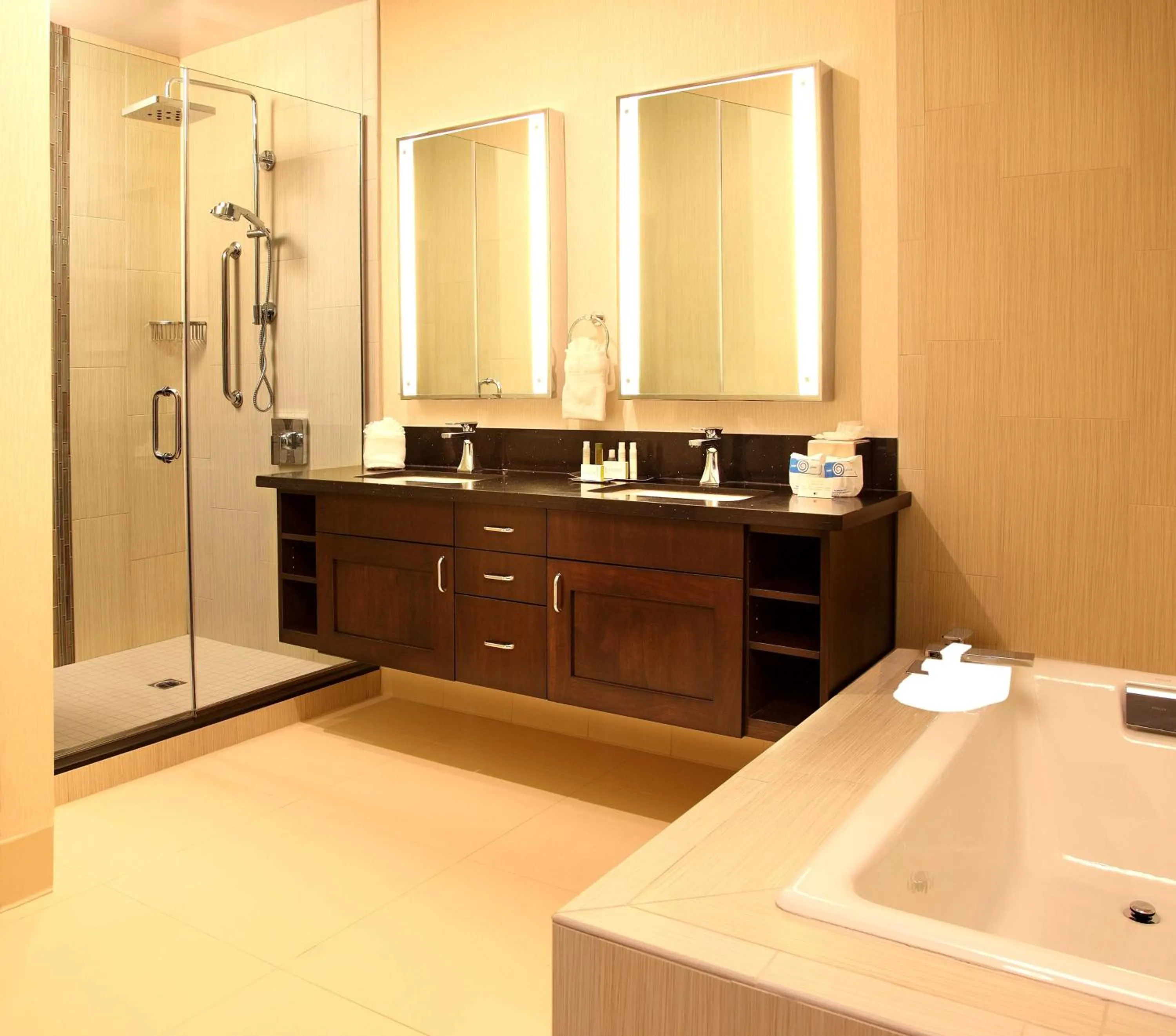 Bathroom in DoubleTree by Hilton Claremont