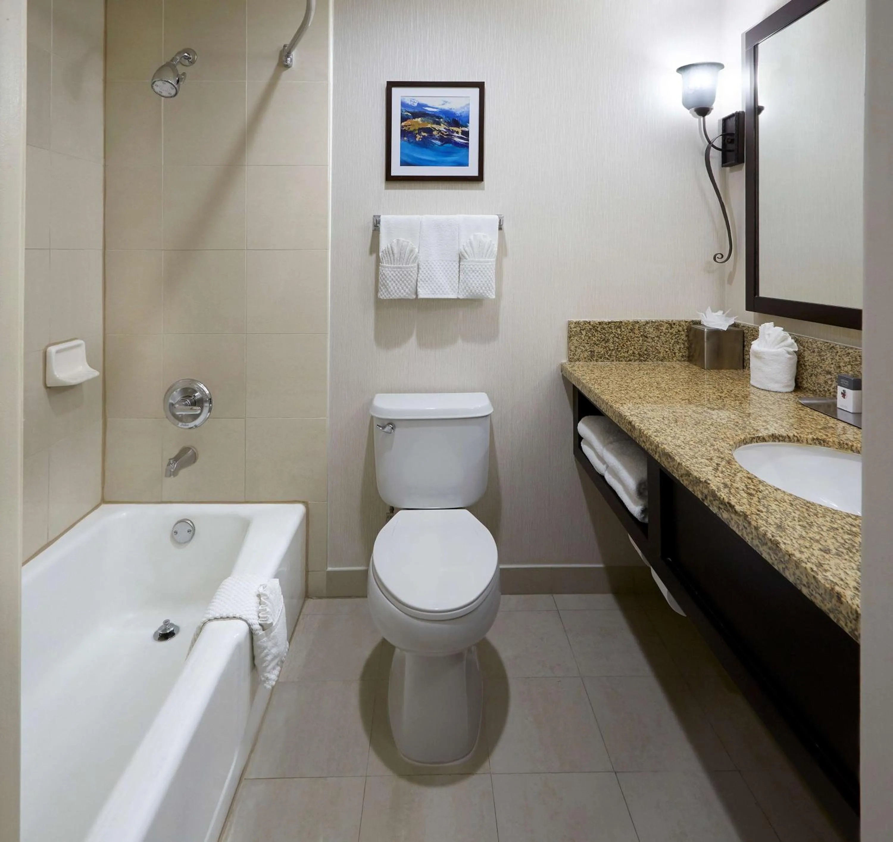 Bathroom in DoubleTree by Hilton Claremont