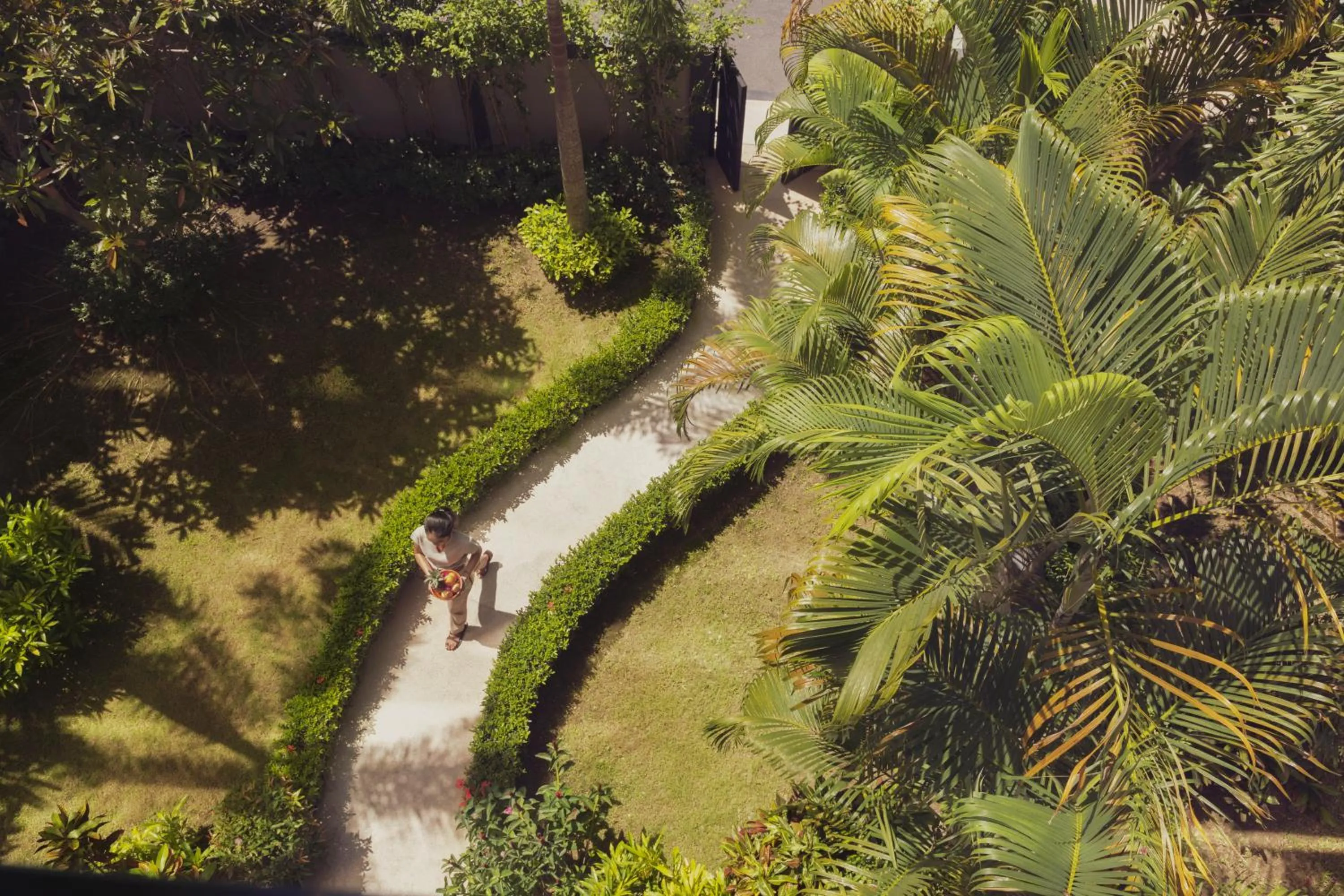 Garden in The Pavilions Phuket