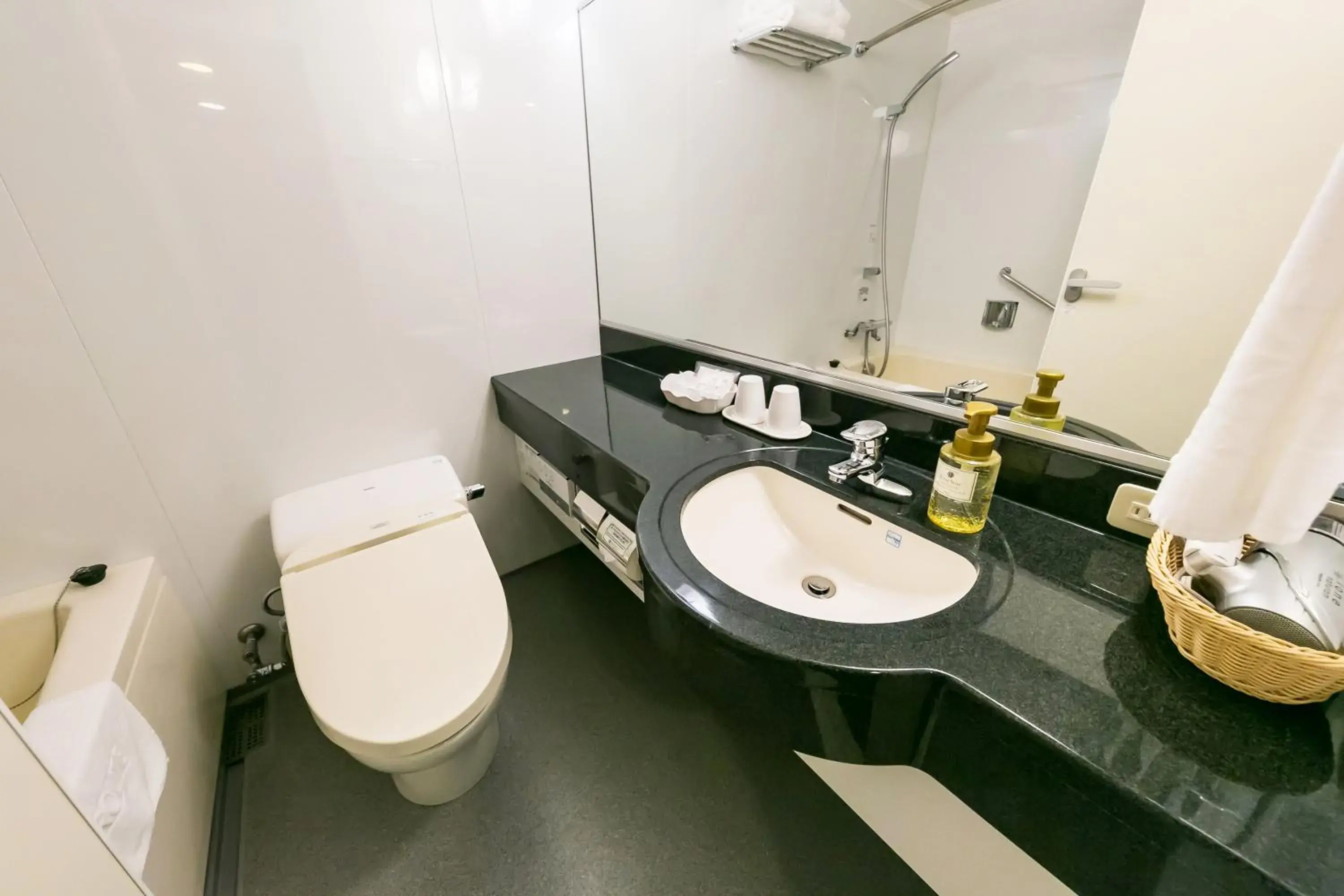 Photo of the whole room in Sotetsu Fresa Inn Kawasaki-Higashiguchi Photo of the whole room in Sotetsu Fresa Inn Kawasaki-Higashiguchi