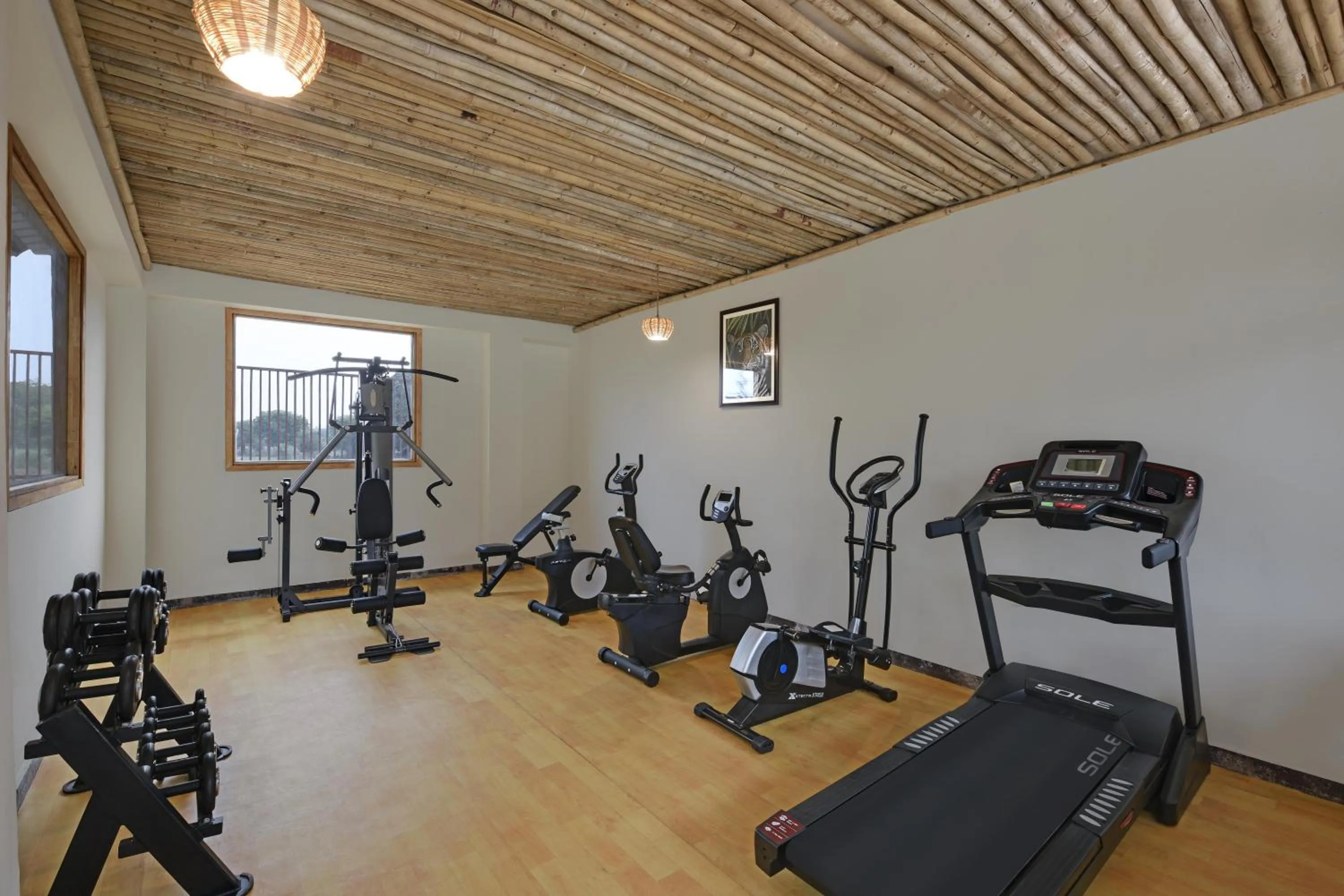 Fitness centre/facilities in The Baagh Ananta Elite Ranthambore