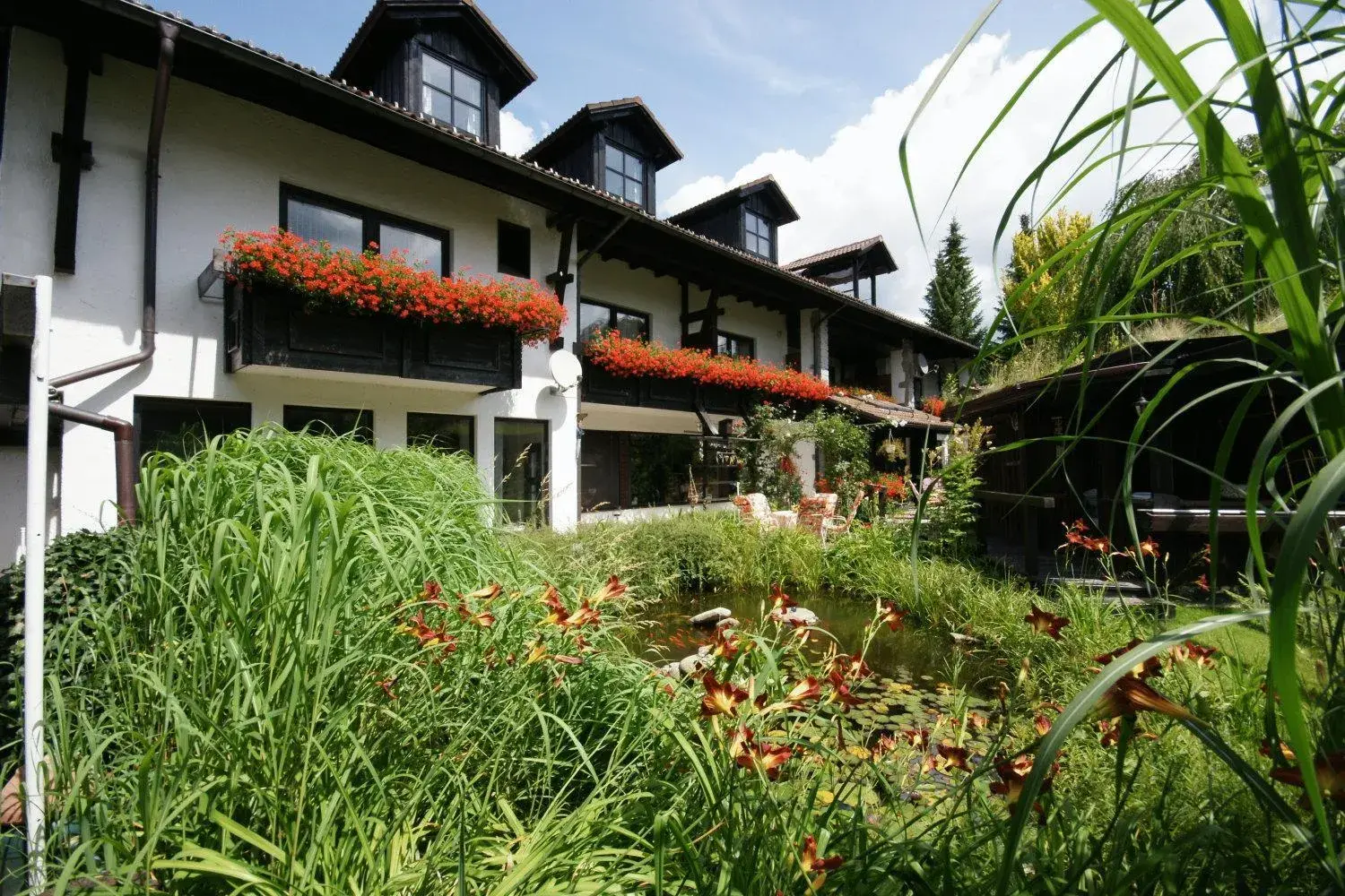 Pension Sonneneck Pension Sonneneck