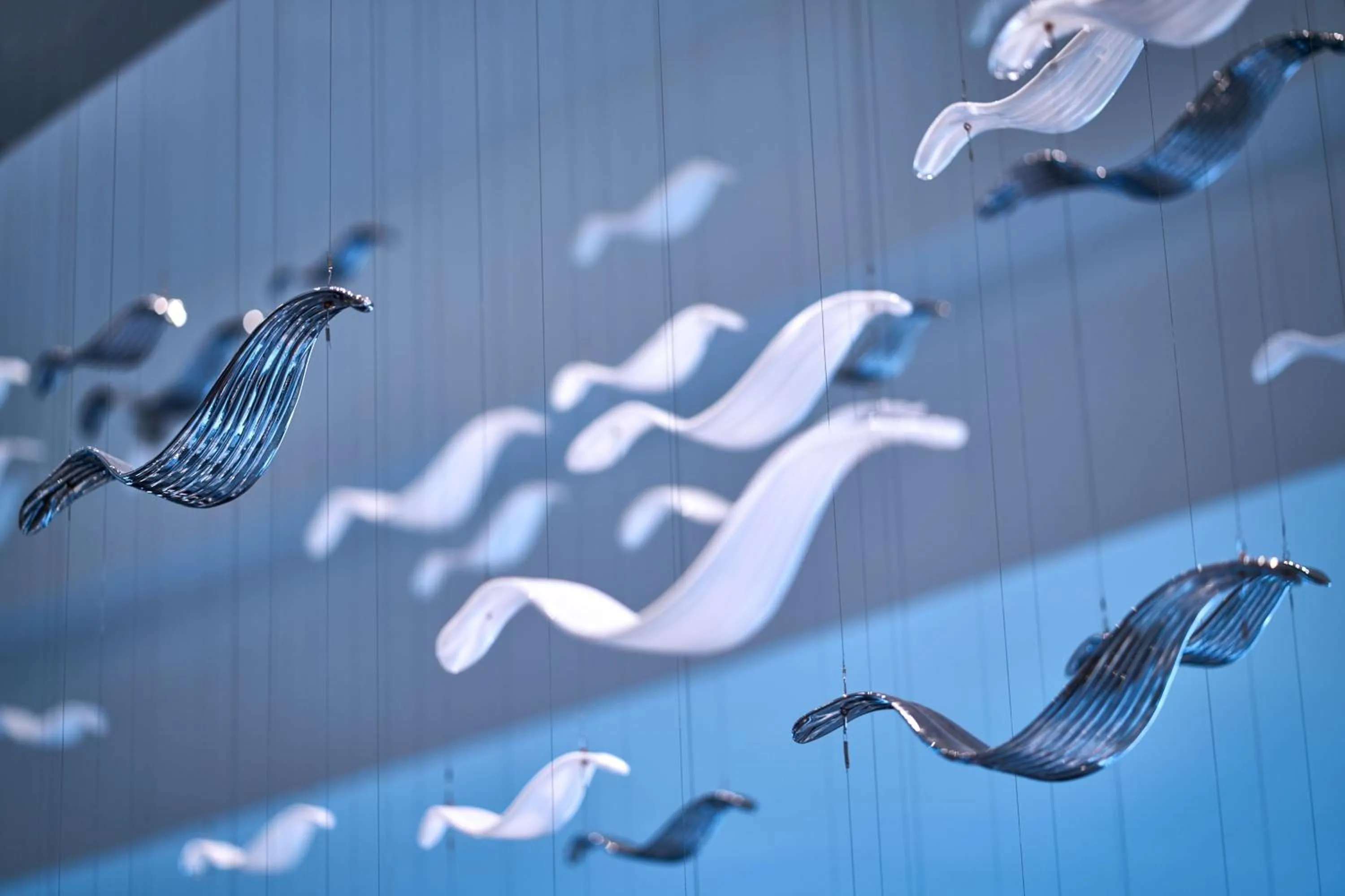 Meeting/conference room in Yogyakarta Marriott Hotel