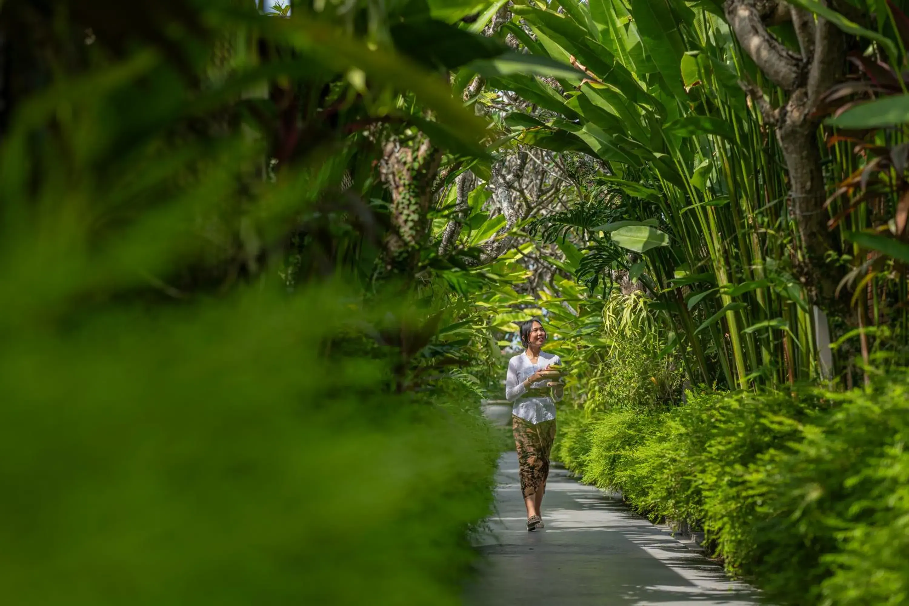 Garden view in Rama Residence Seminyak Garden view in Rama Residence Seminyak