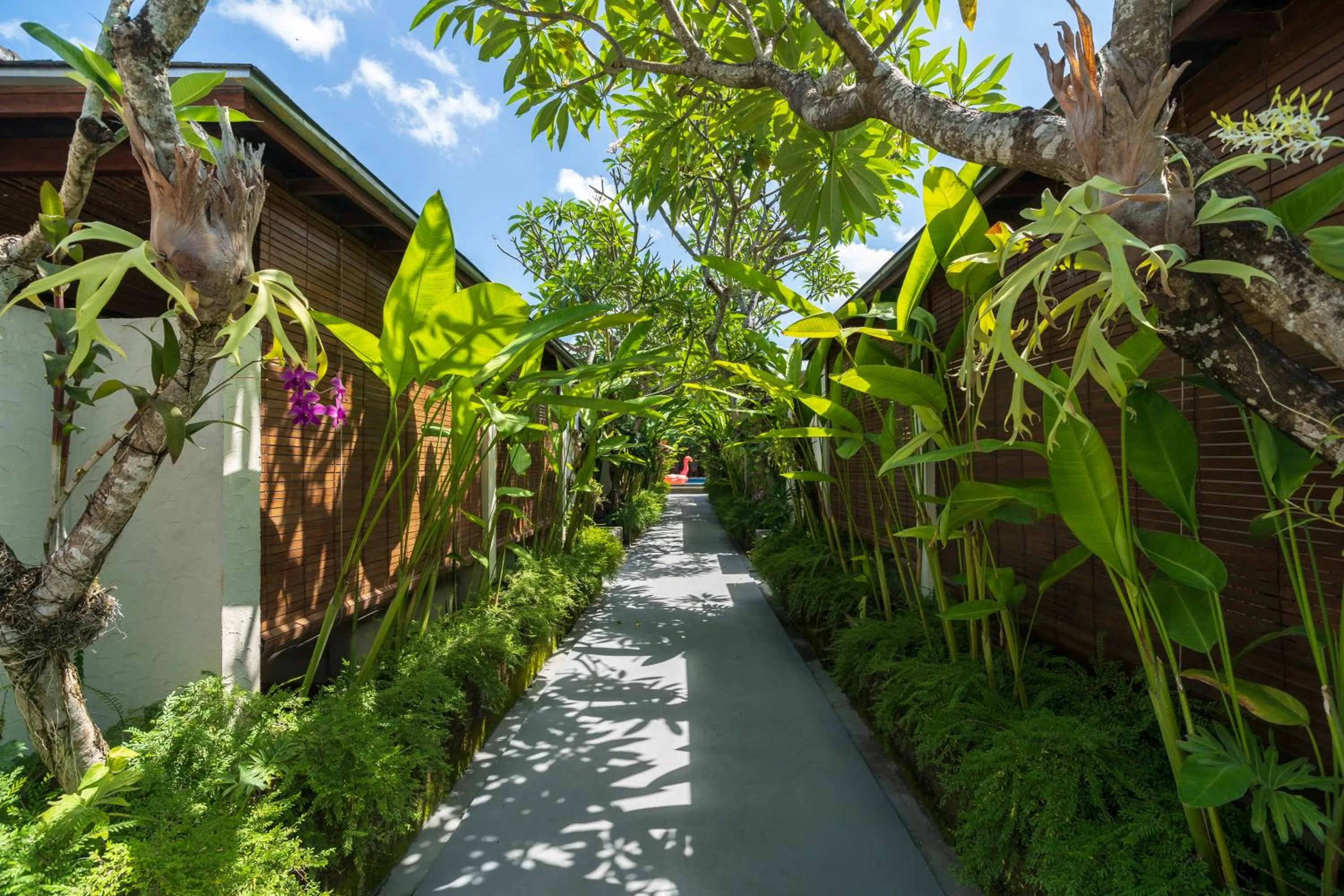 Garden in Rama Residence Seminyak