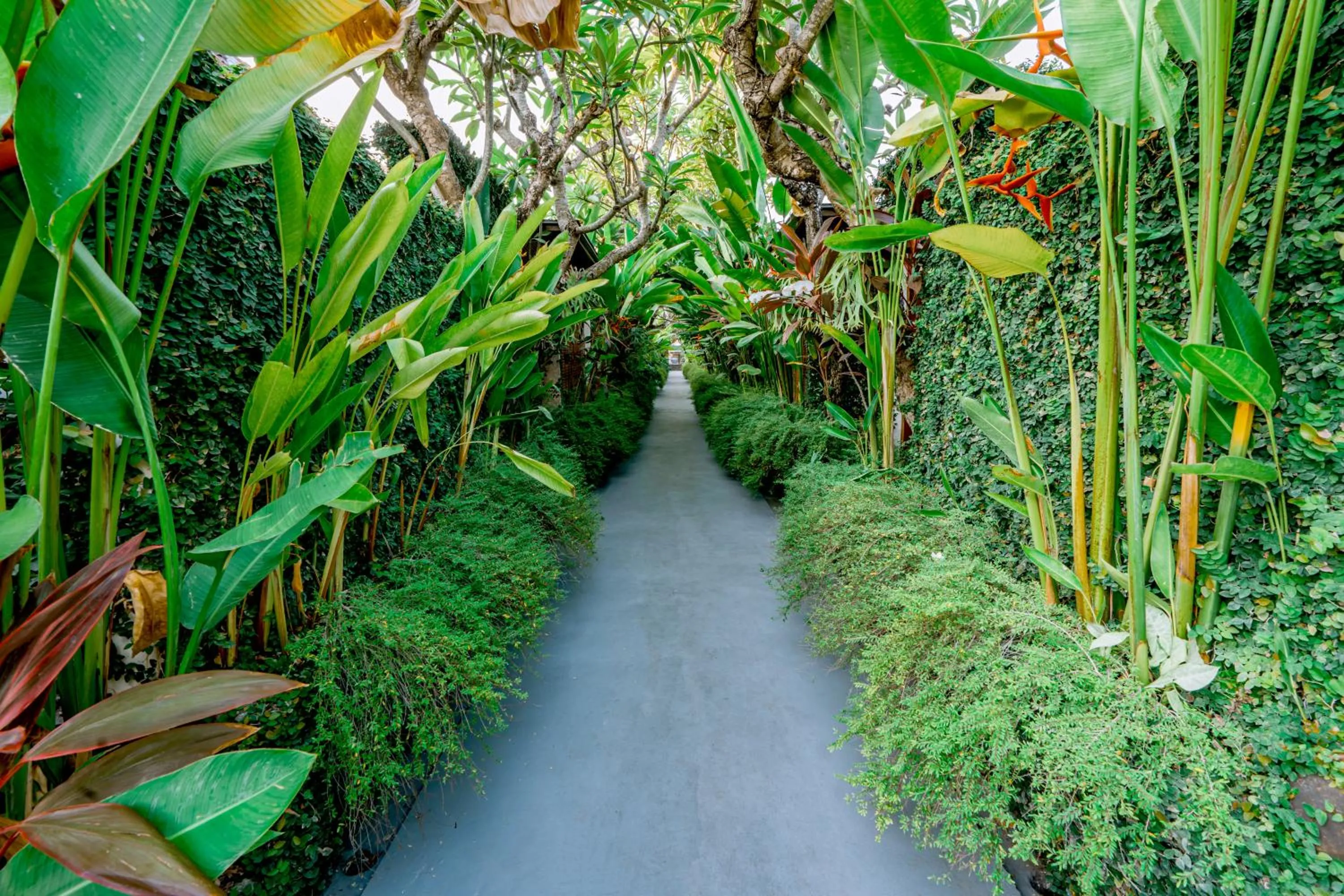 Garden in Rama Residence Seminyak