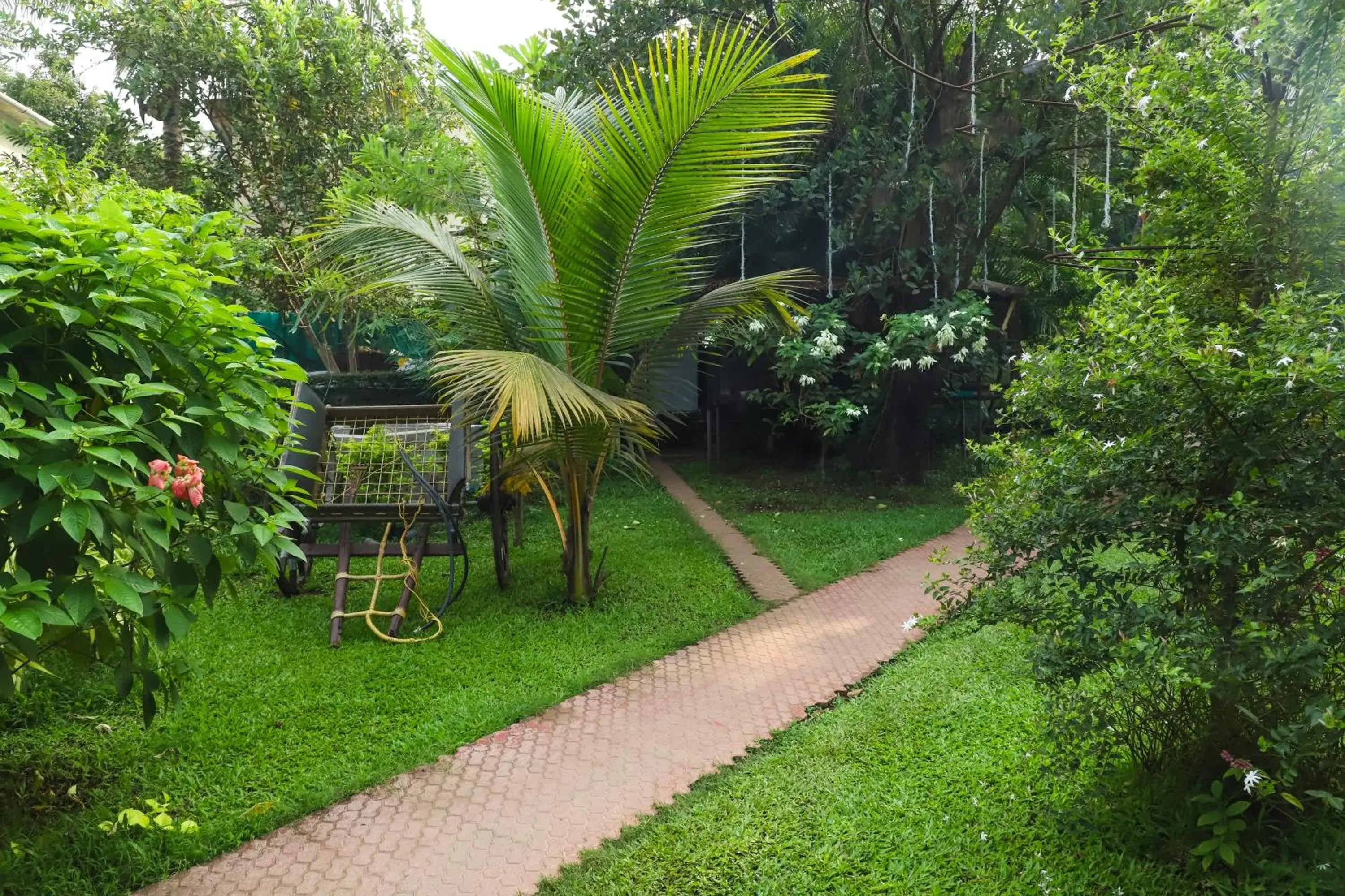 Garden view in Sanidhya Beach Resort & Spa Garden view in Sanidhya Beach Resort & Spa