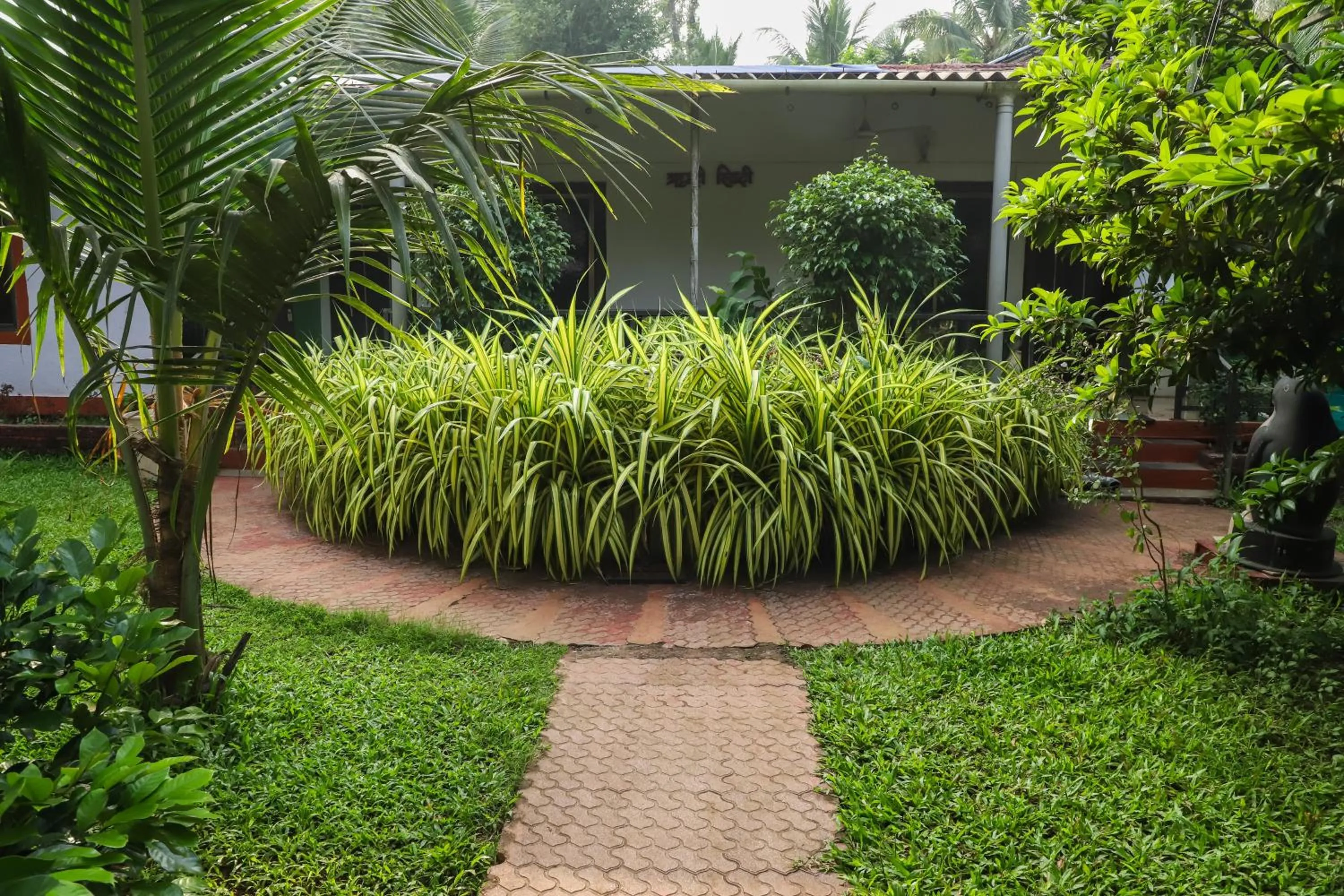 Pets in Sanidhya Beach Resort & Spa