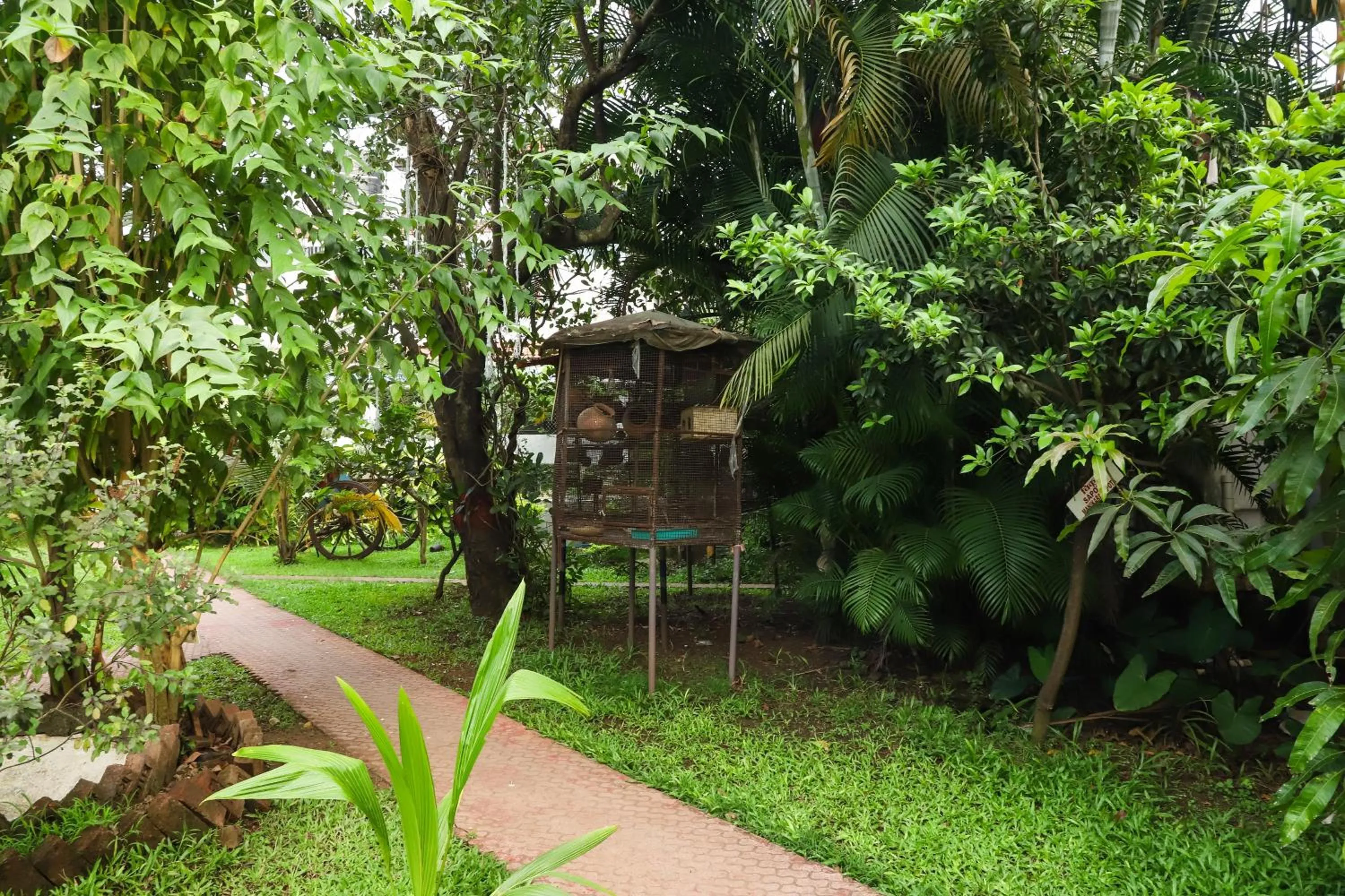 Garden in Sanidhya Beach Resort & Spa