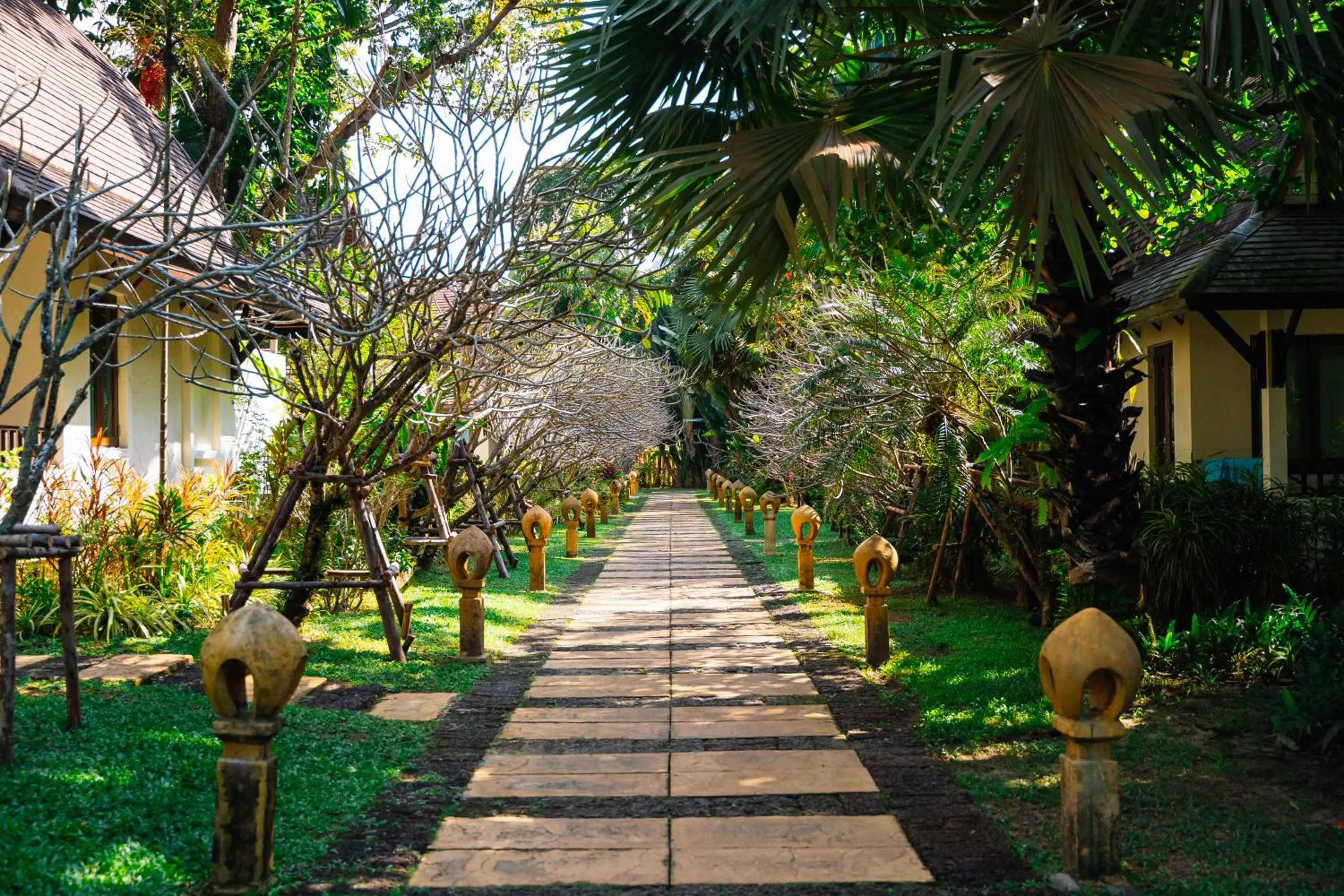 Natural landscape in Barali Beach Resort Koh Chang
