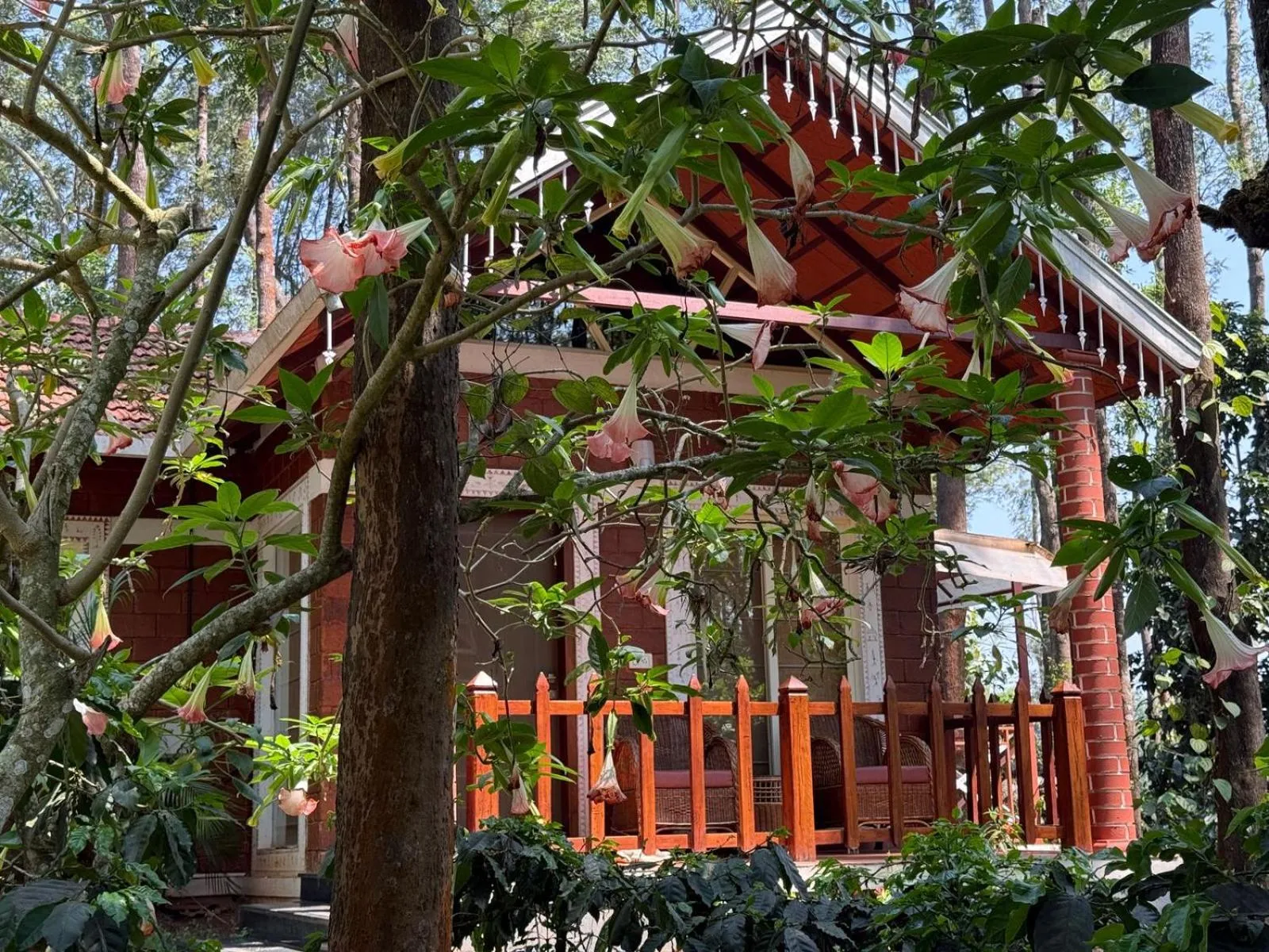 Coffee Grove Resort