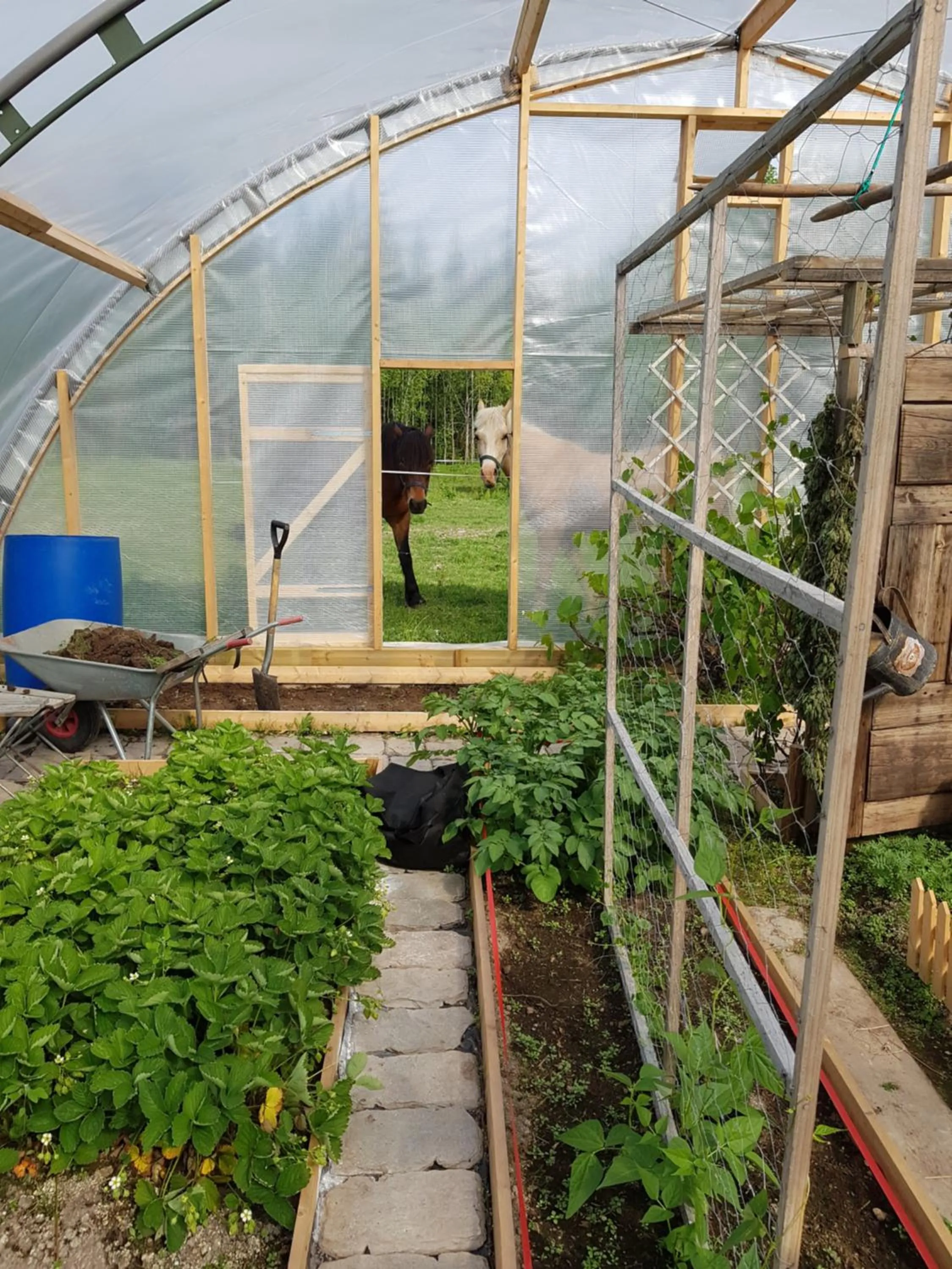 Garden in Stordrågen