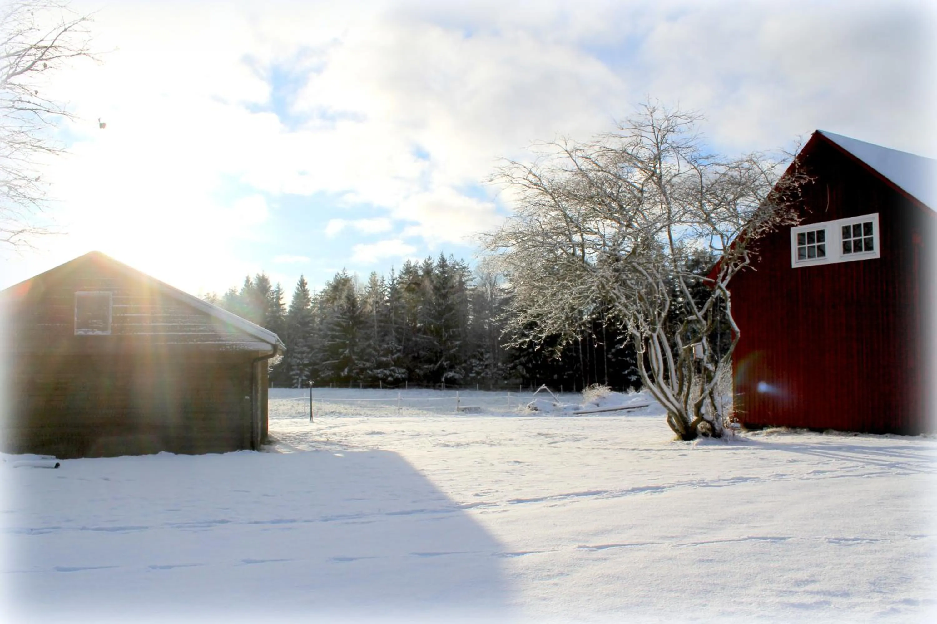 Garden view in Stordrågen