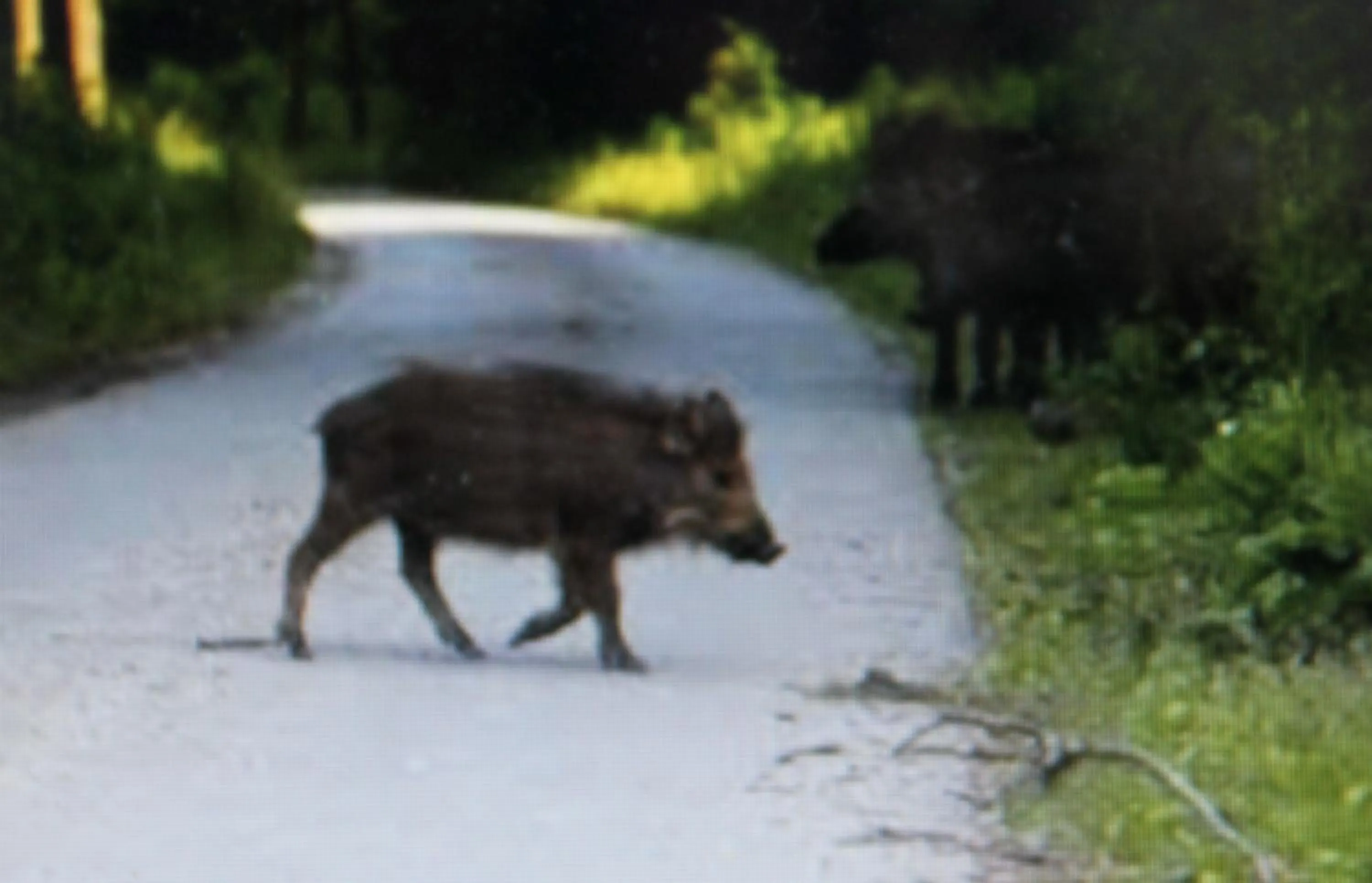Off site in Stordrågen